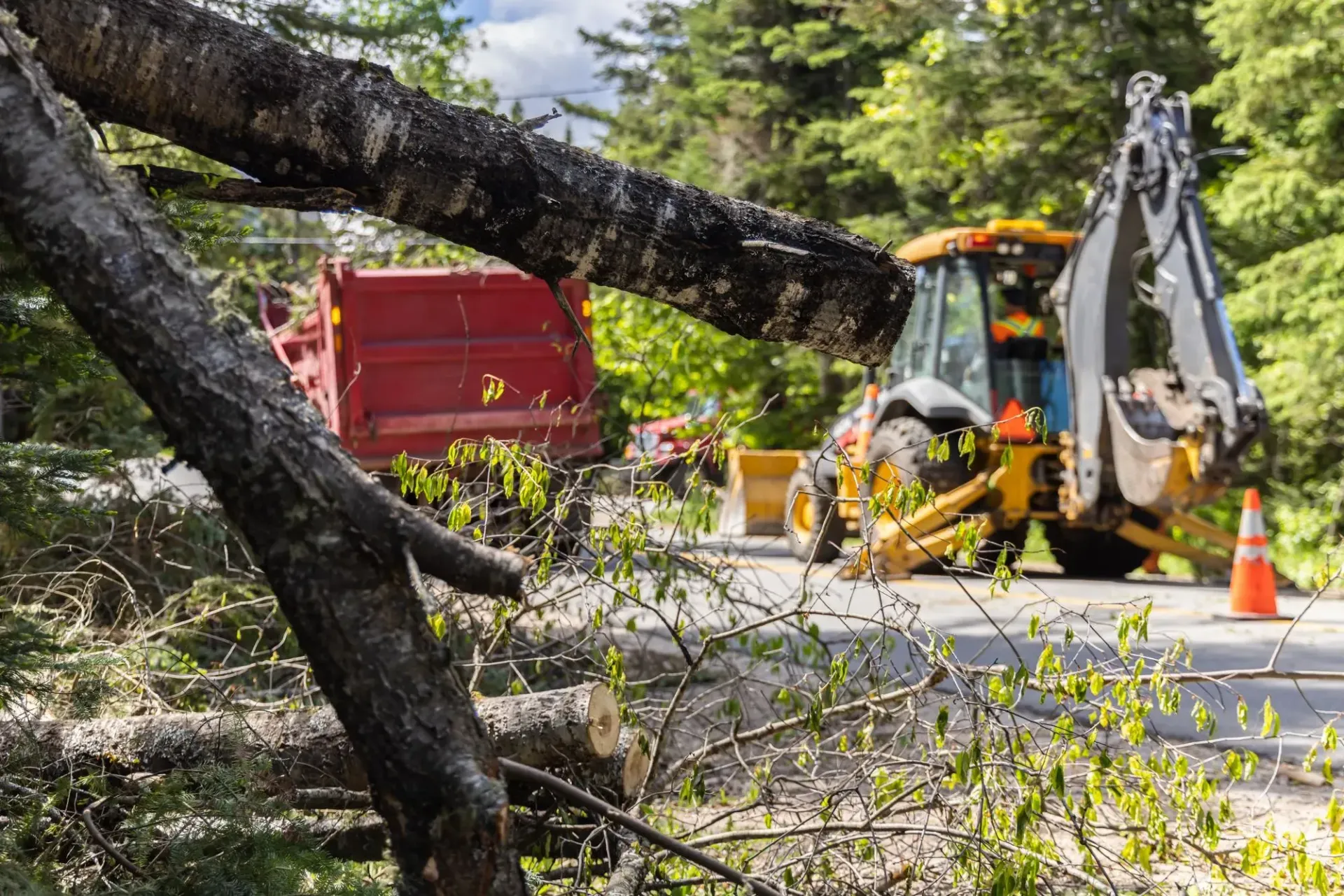Tree Removal Service West Covina shows a roadside cleanup scene with large fallen tree branches in the foreground, while a worker operates heavy machinery
