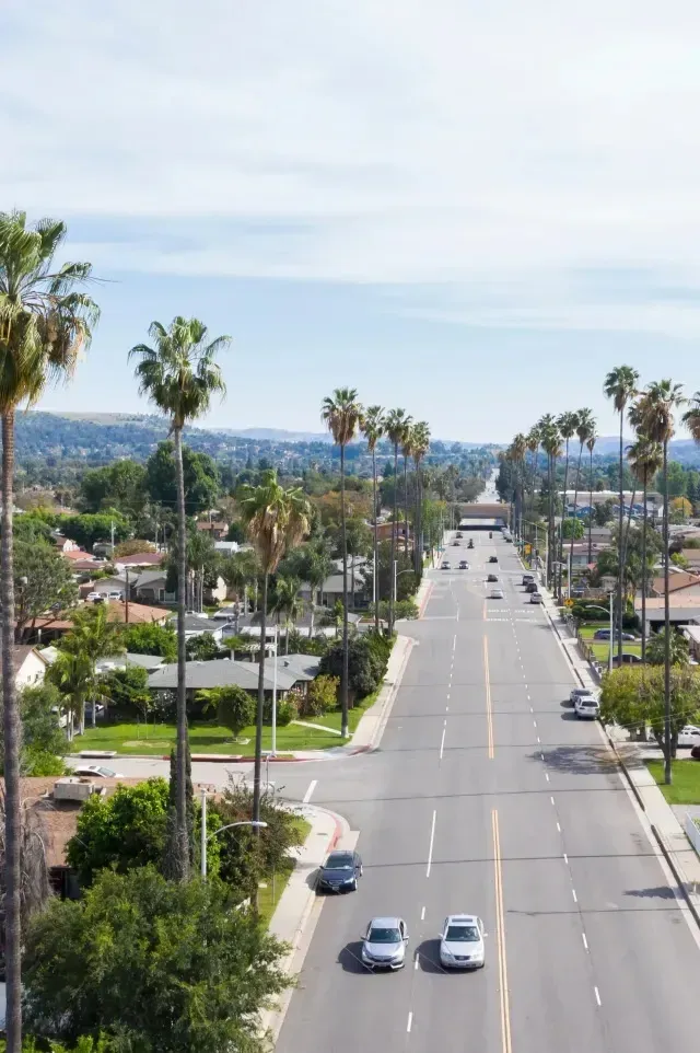 Tree Removal Service West Covina -captures a wide street lined with tall palm trees and residential homes, with cars driving along the road under a clear blue sky