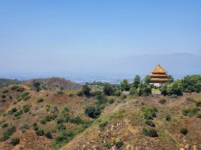 Tree Services West Covina-plays a vital role in maintaining the aesthetic appeal of commercial establishments like Vincenzo's Terrazza Ristorante