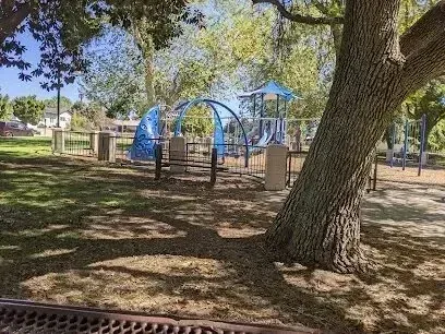 Tree Services West Covina Playground with blue climbing structures and swings nestled under a large tree.