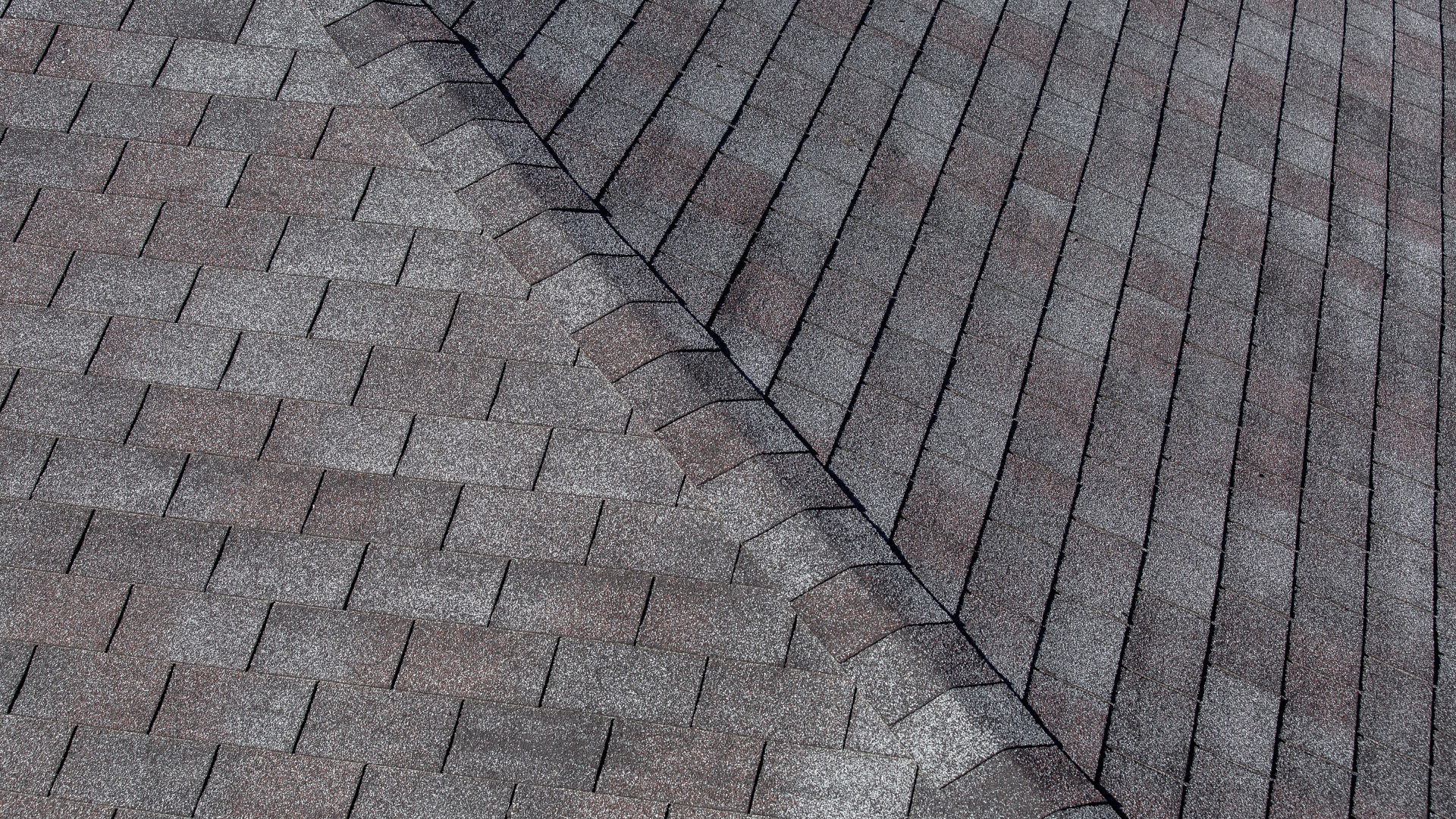 Speer Roofing and Construction