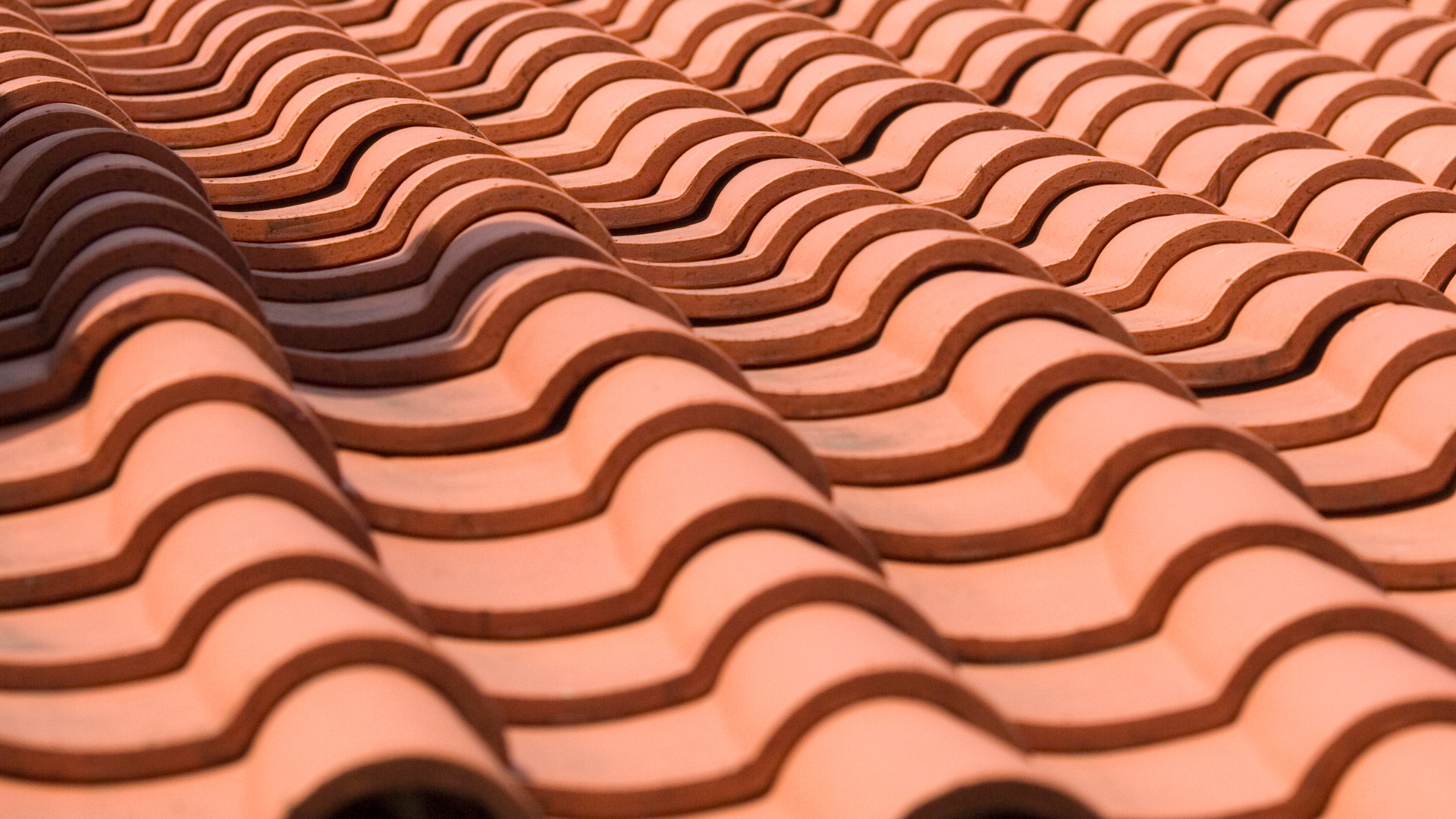Speer Roofing and Construction