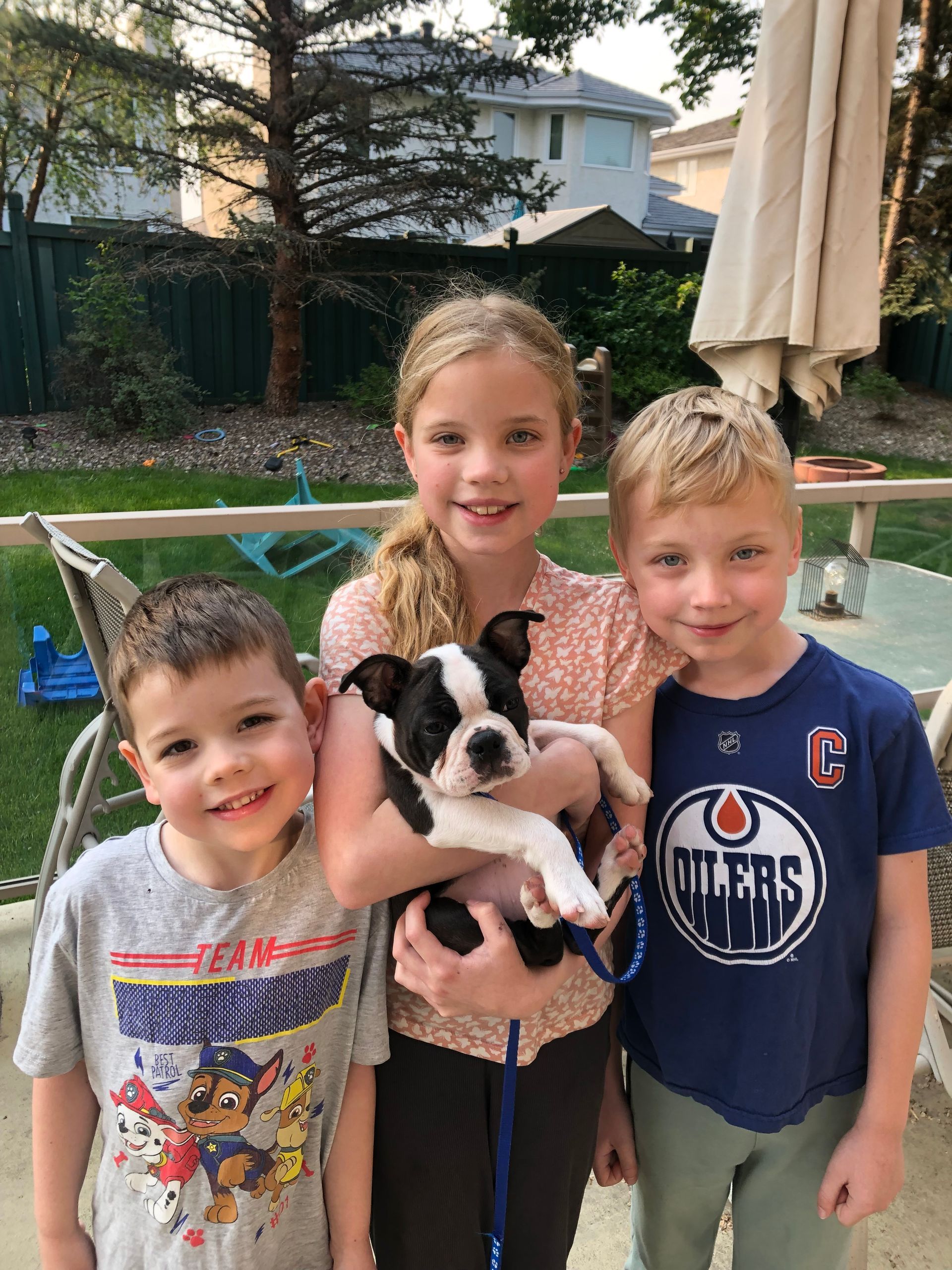 Tuxedo's Experiment 626