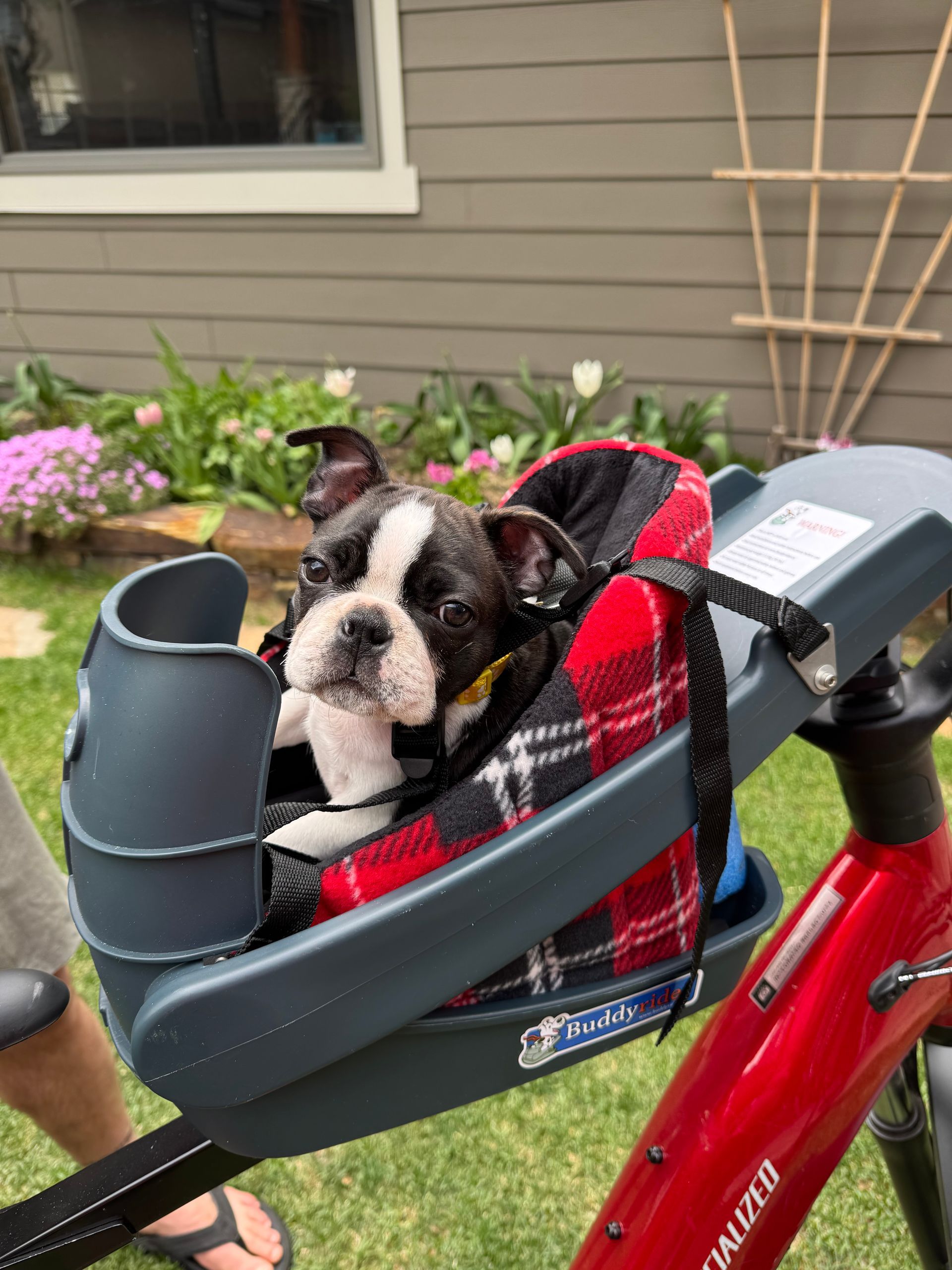 Tailored Tuxedo For Martini's Boston