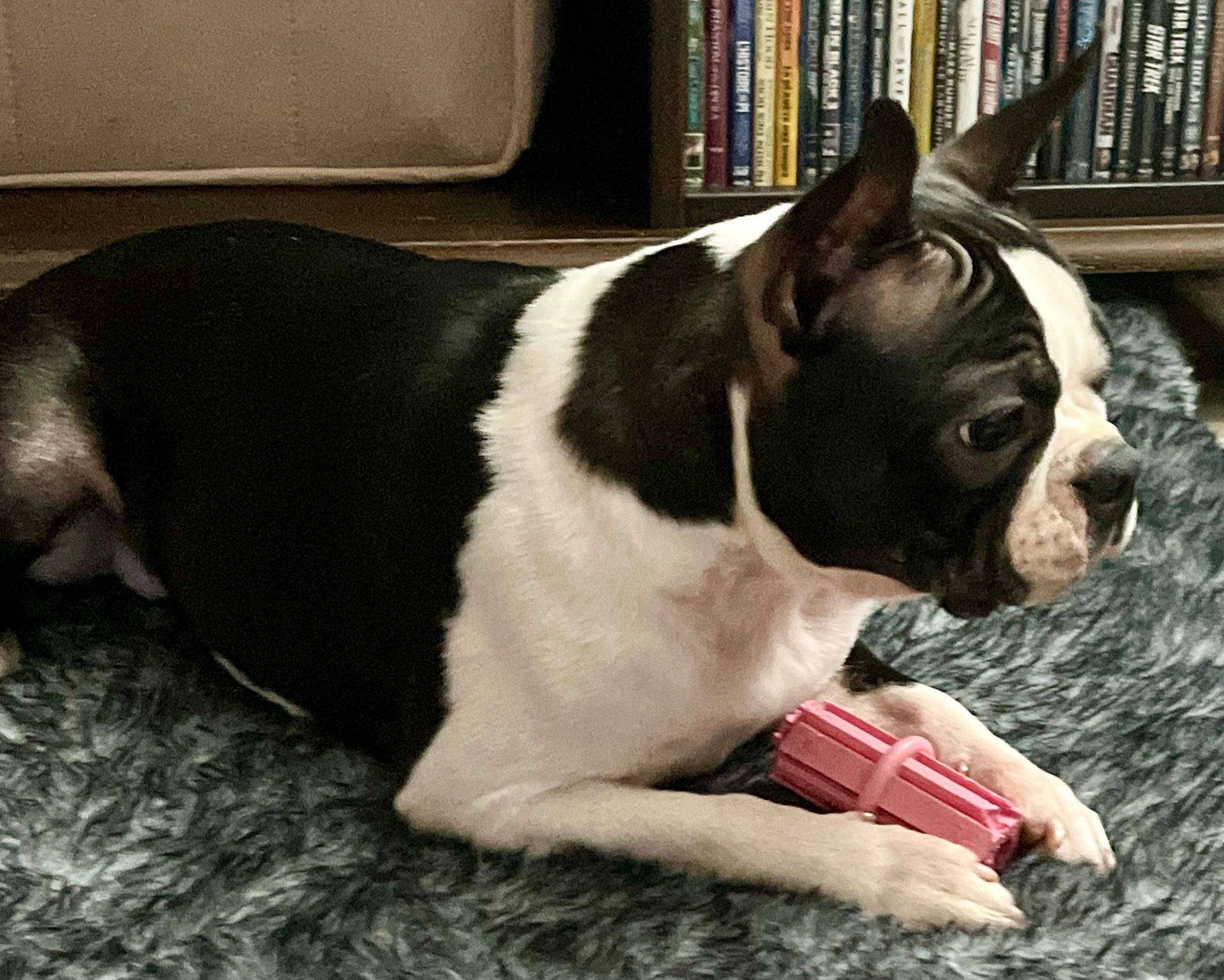 Ms. Misty 2025....is she a little Mama?