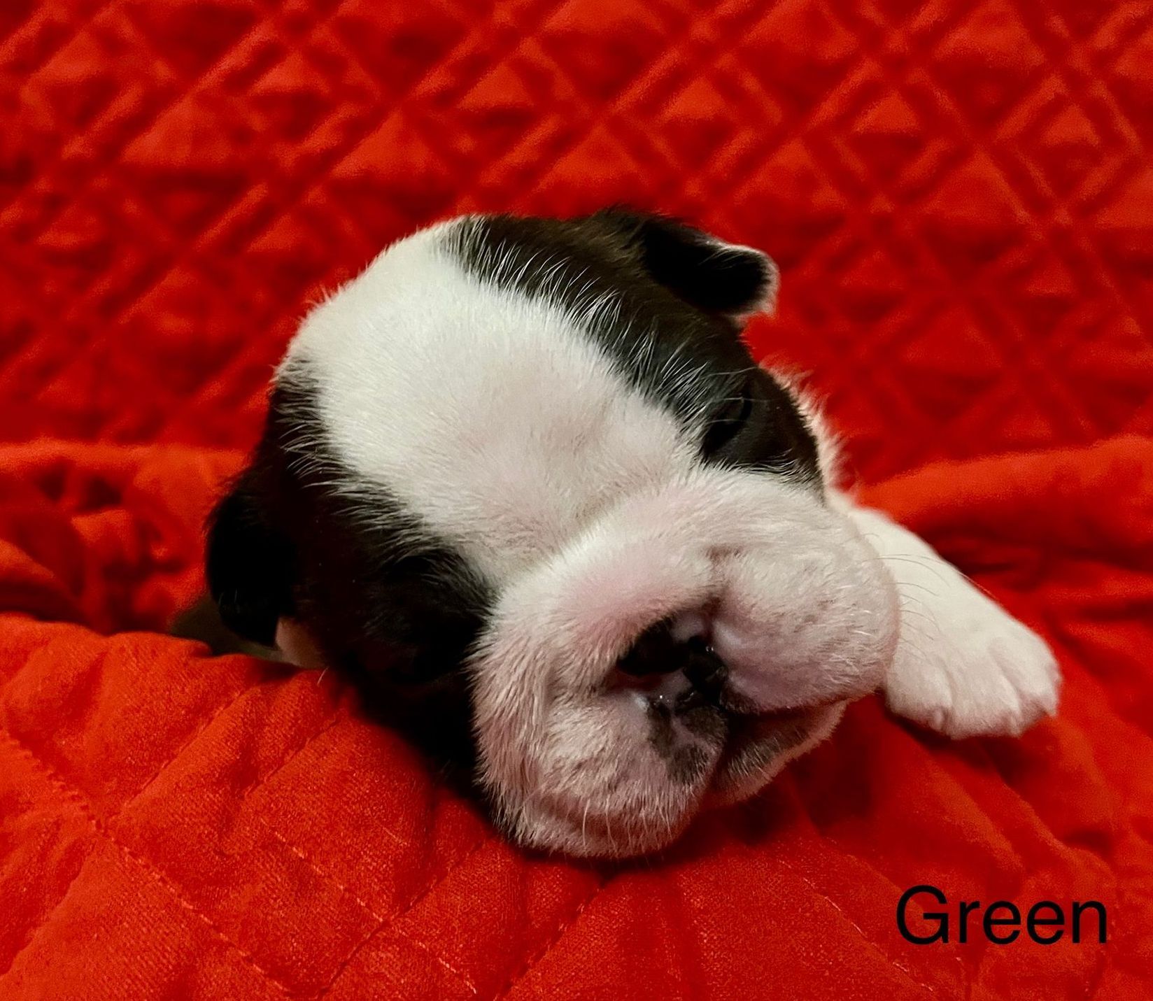 Misty X Ryker Baby Boy