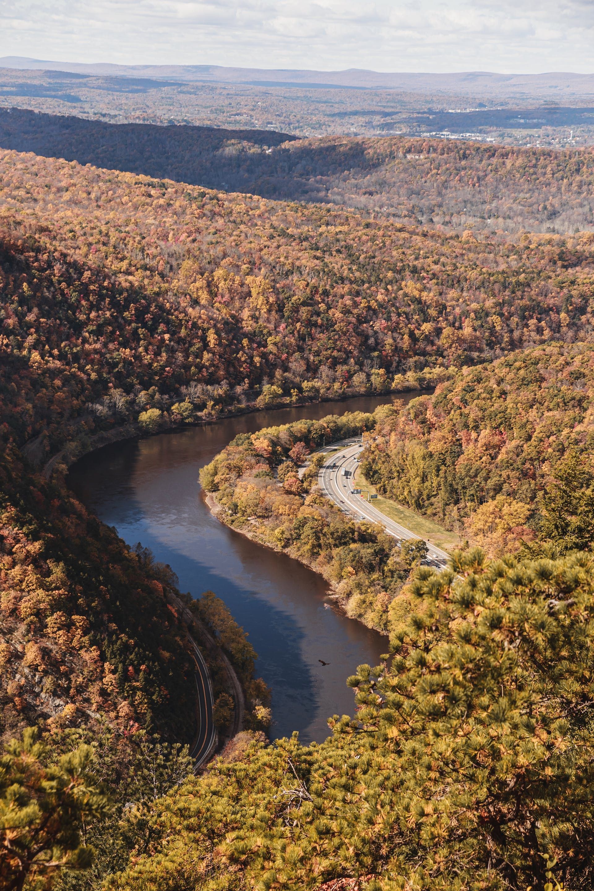 An aerial view of a river flowing through a valley surrounded by trees.
