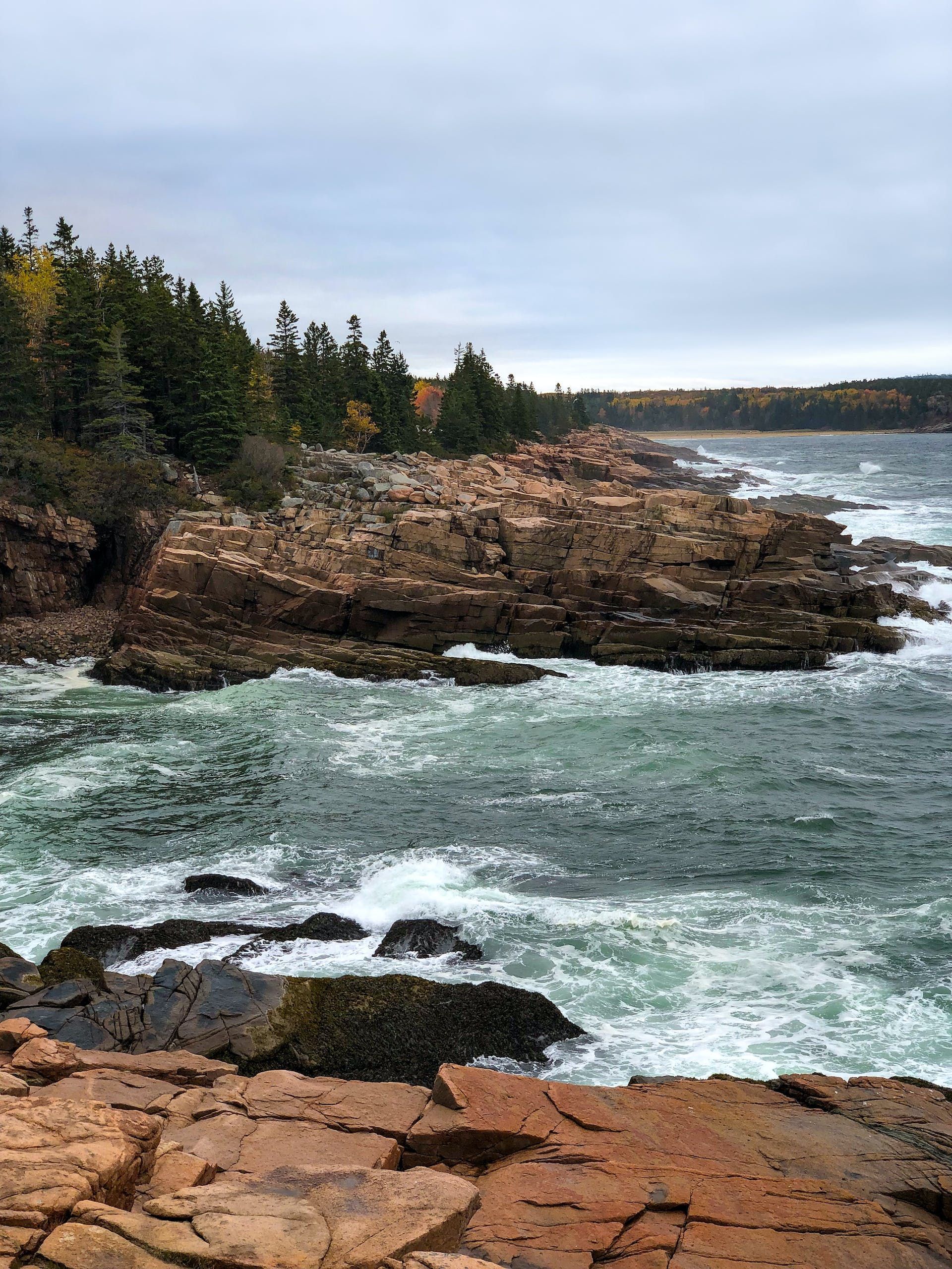 A view of the ocean from a rocky shoreline with trees in the background.