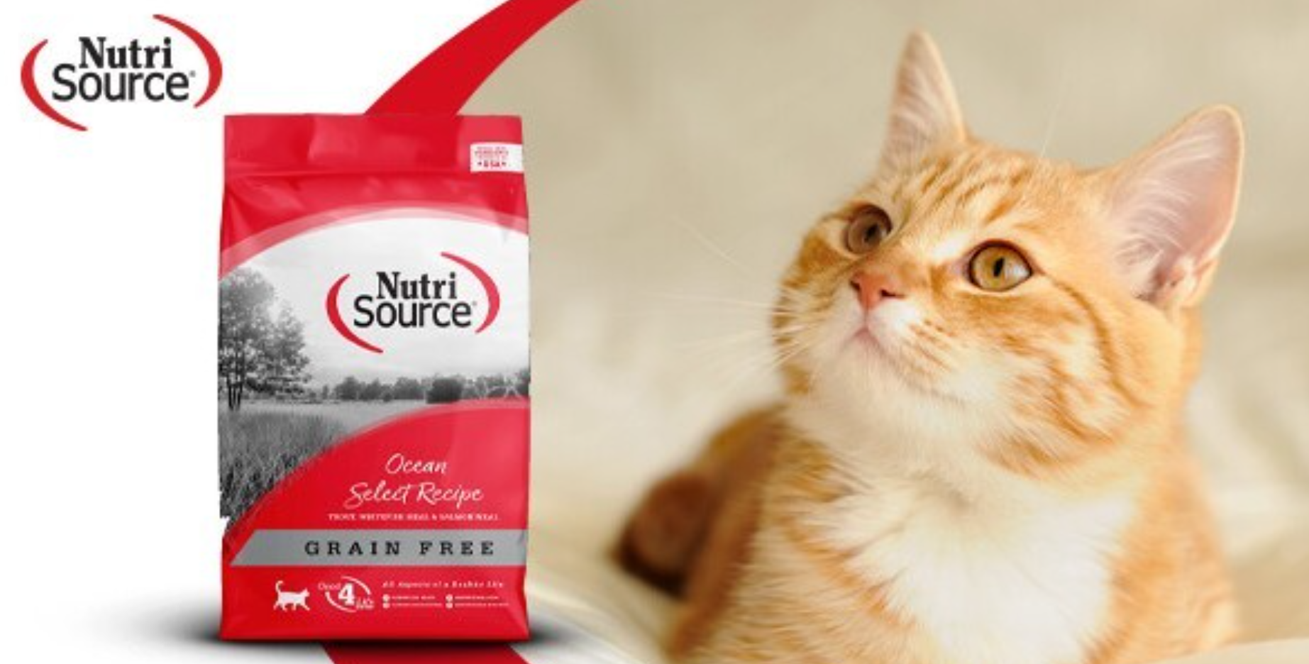 A cat is sitting next to a bag of nutri source cat food