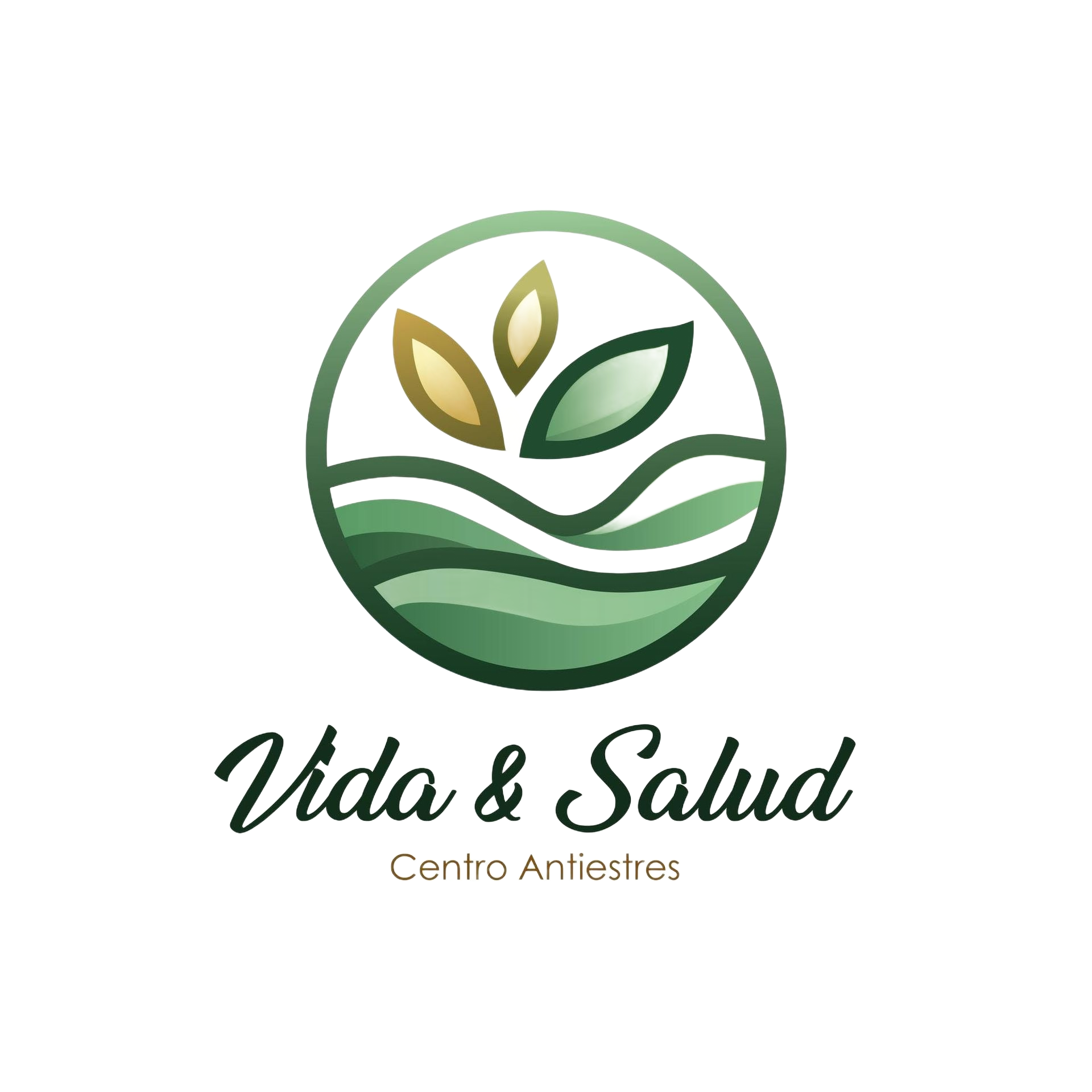 Logo circular verde y dorado de “Vida & Salud Centro Antiestres” con hojas y líneas onduladas.