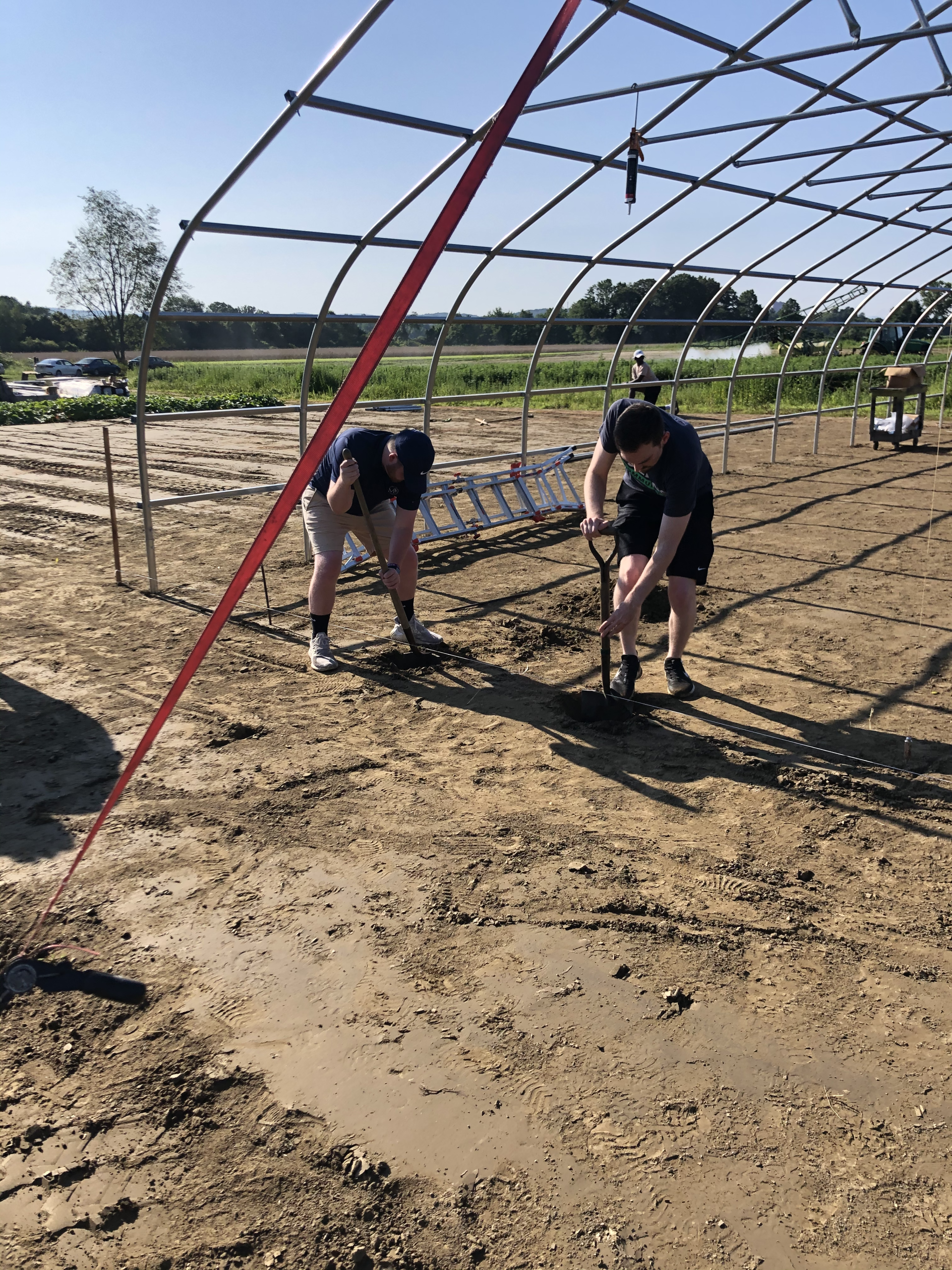 MBK Assists The Food Bank of Western Mass