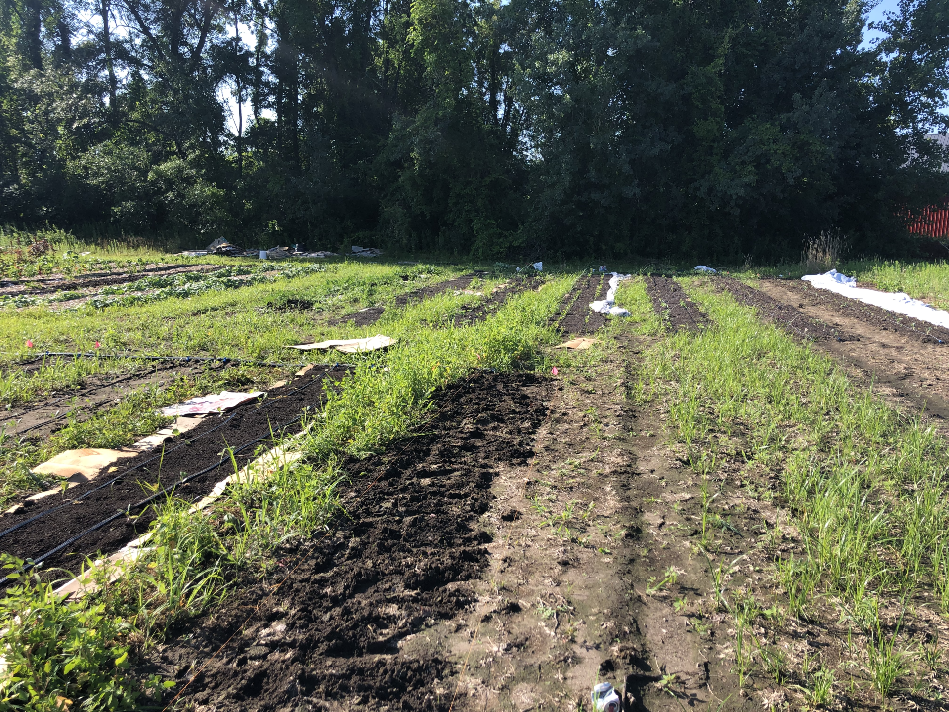 MBK Assists The Food Bank of Western Mass