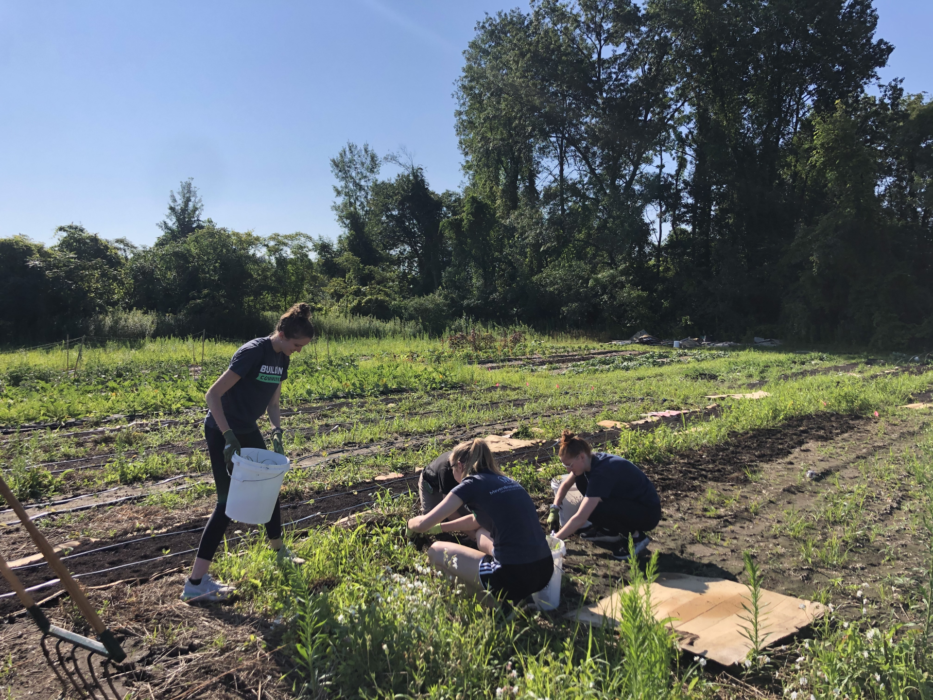 MBK Assists The Food Bank of Western Mass