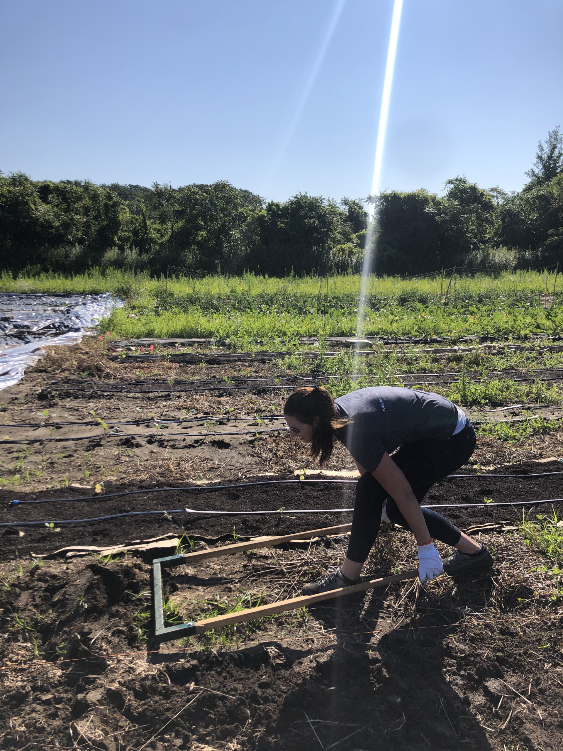 MBK Assists The Food Bank of Western Mass
