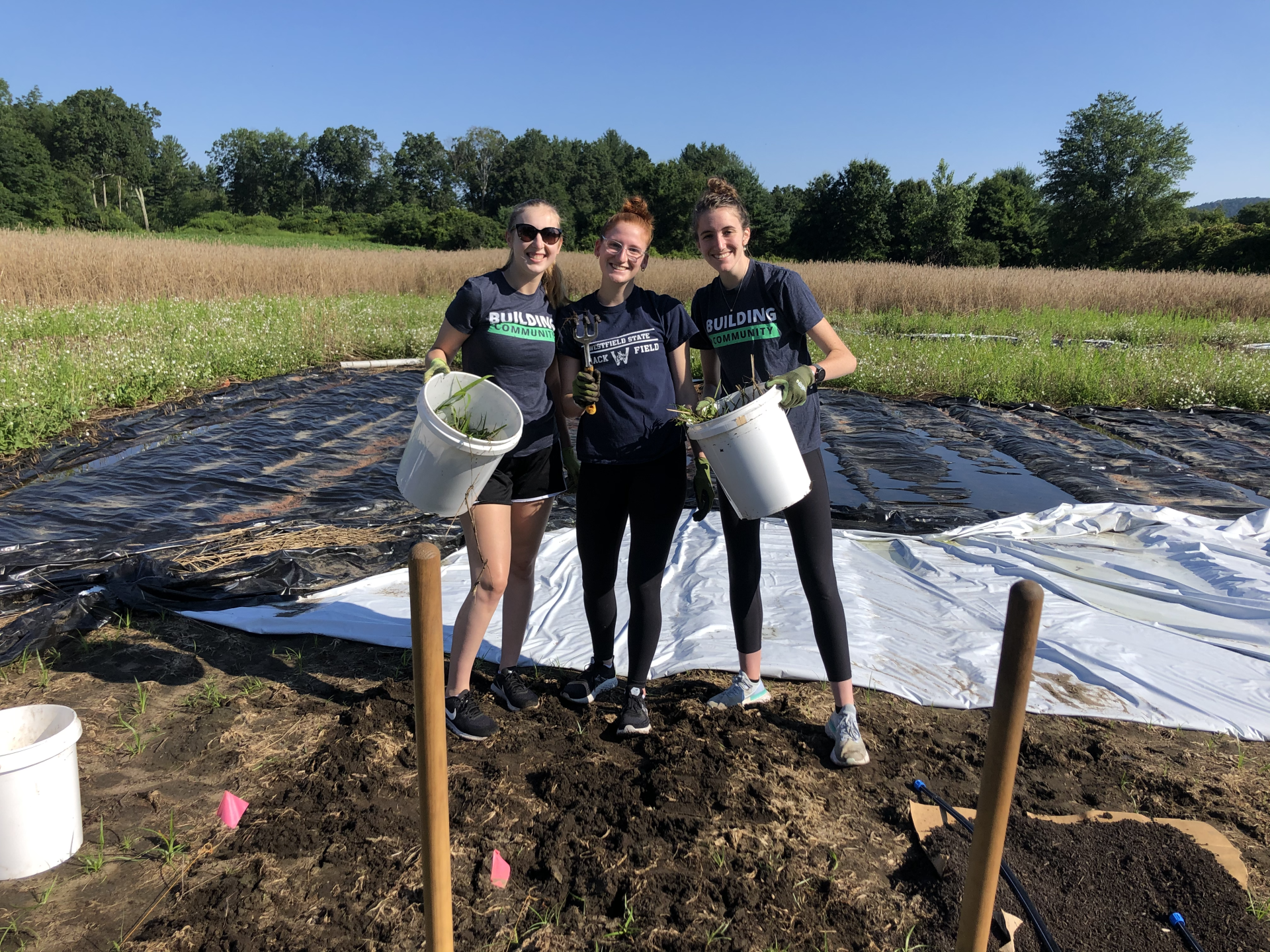 MBK Assists The Food Bank of Western Mass