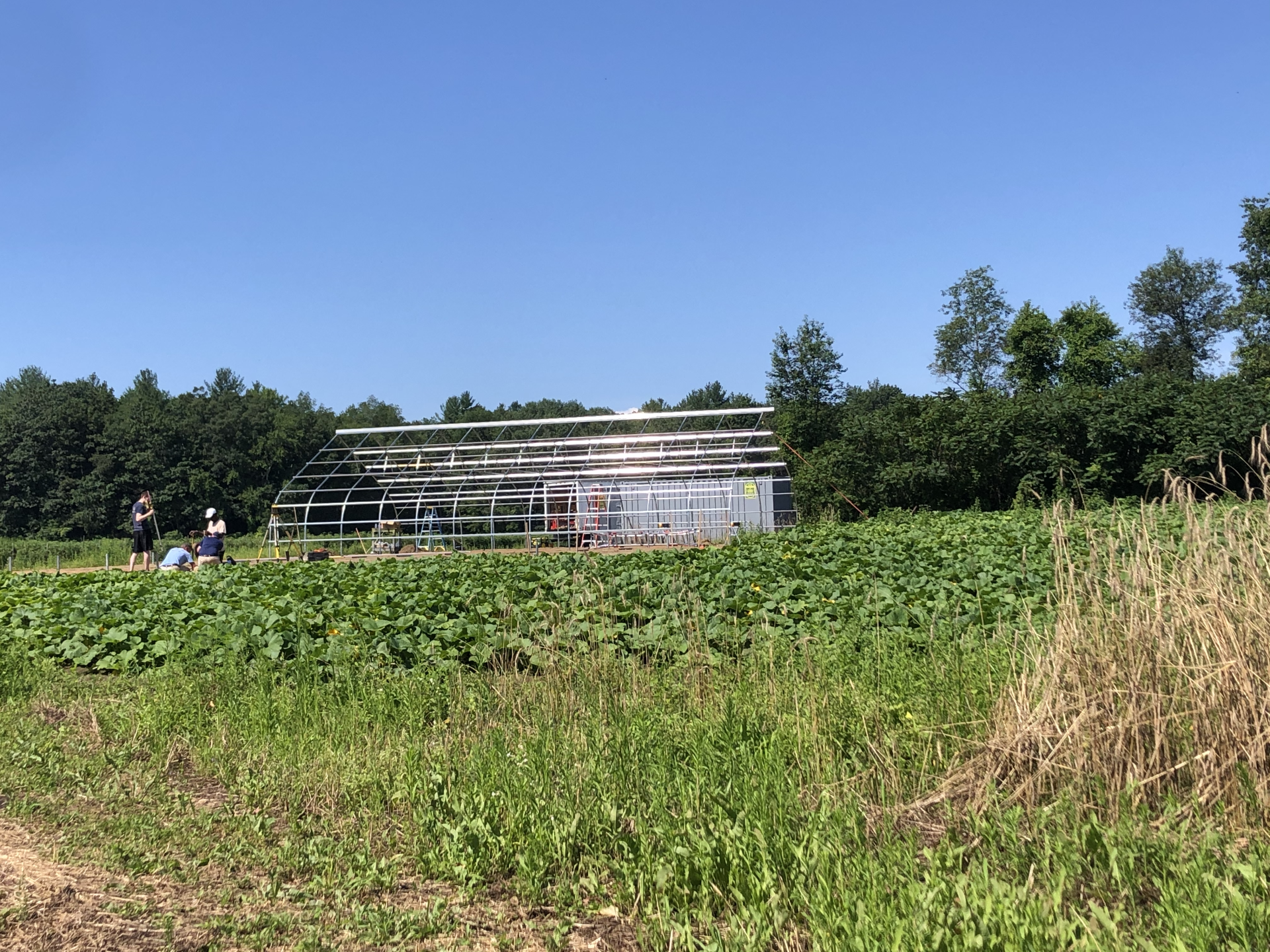 MBK Assists The Food Bank of Western Mass
