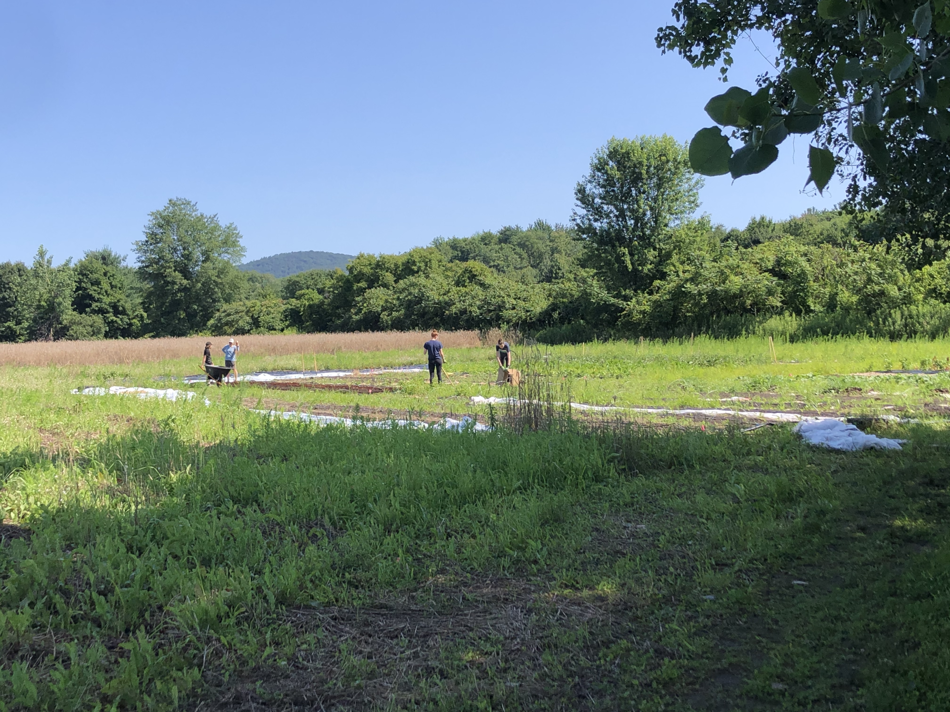 MBK Assists The Food Bank of Western Mass