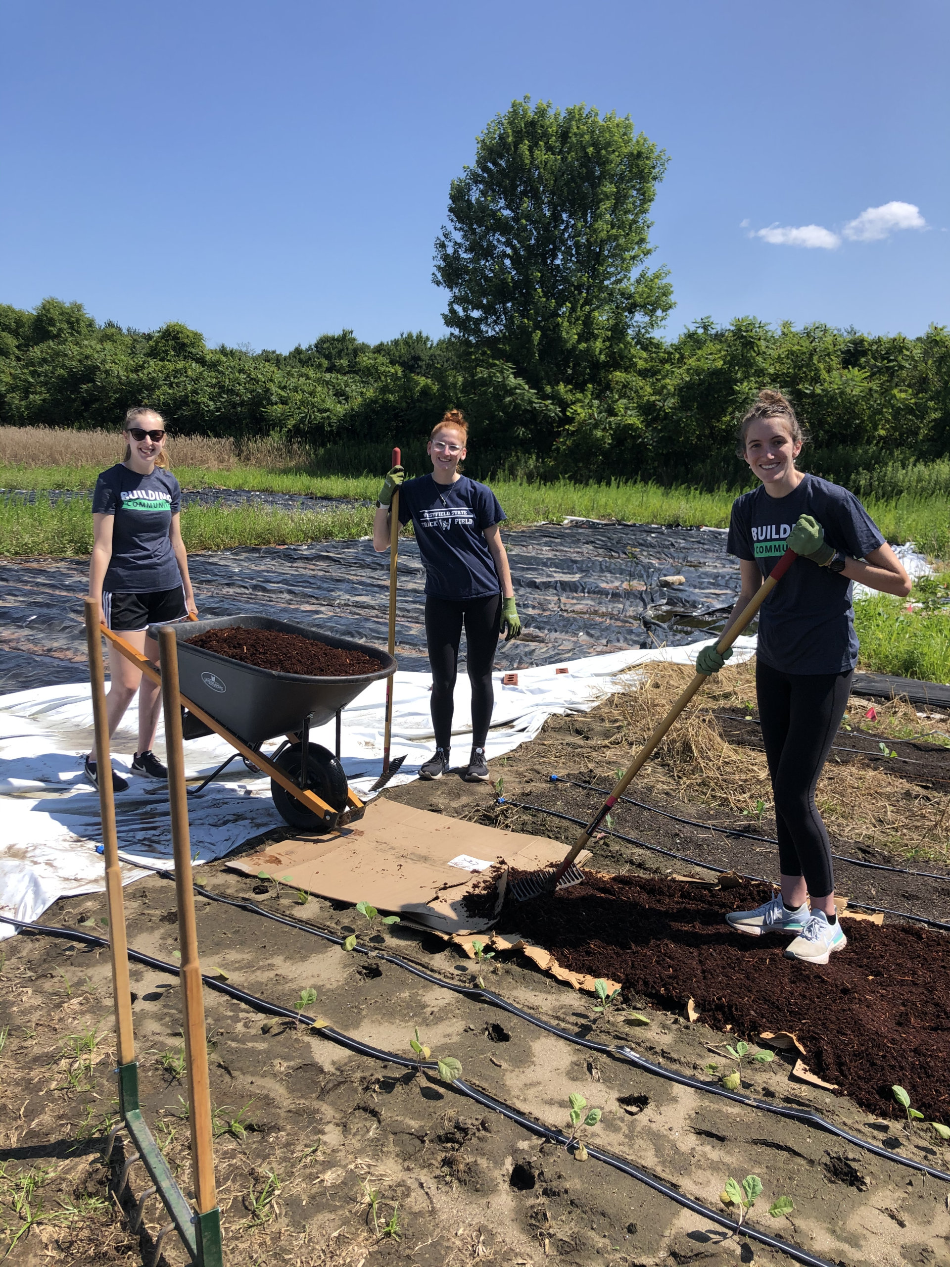 Meyers Brothers Kalicka, P.C.