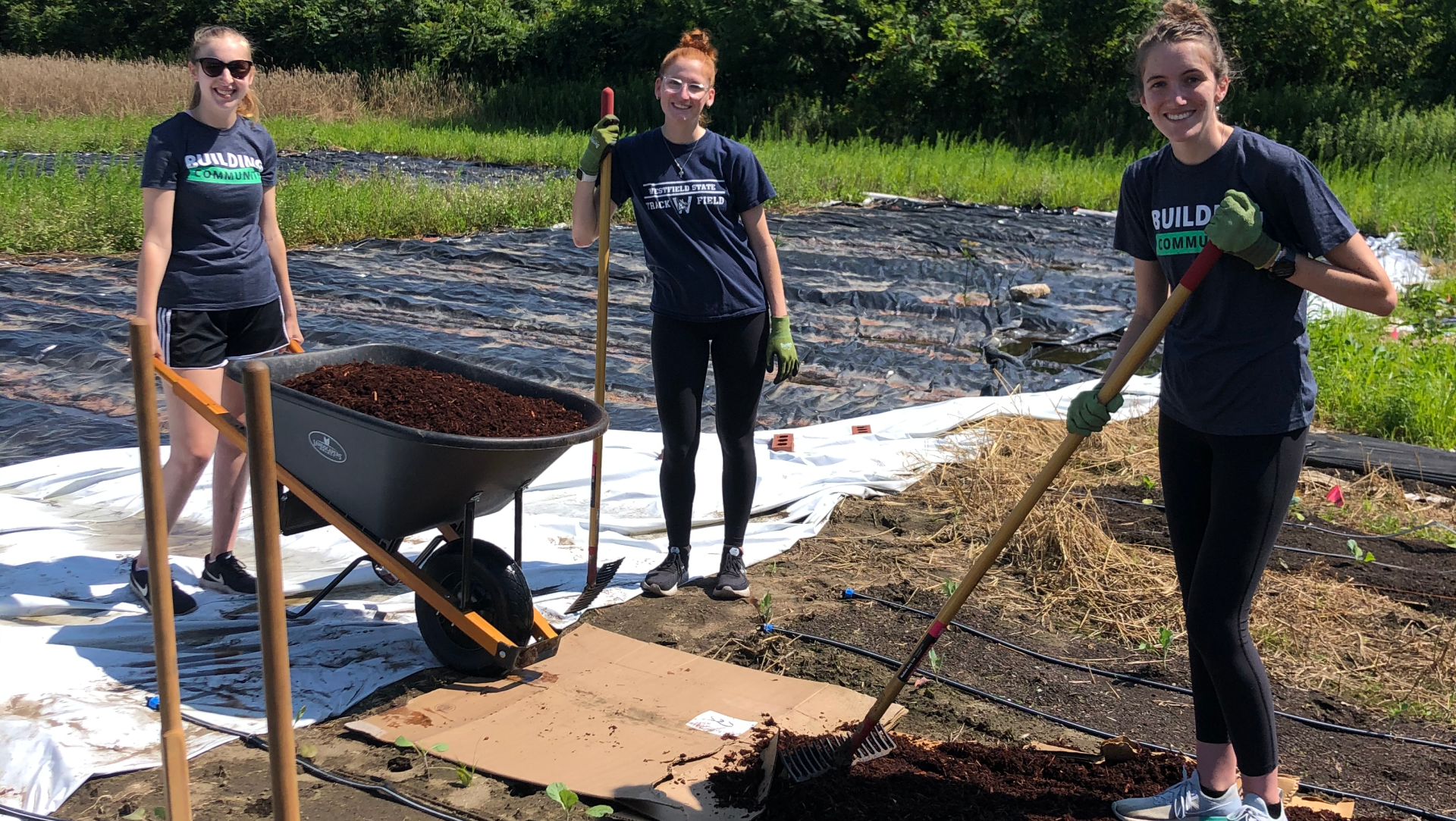 Meyers Brothers Kalicka, P.C.