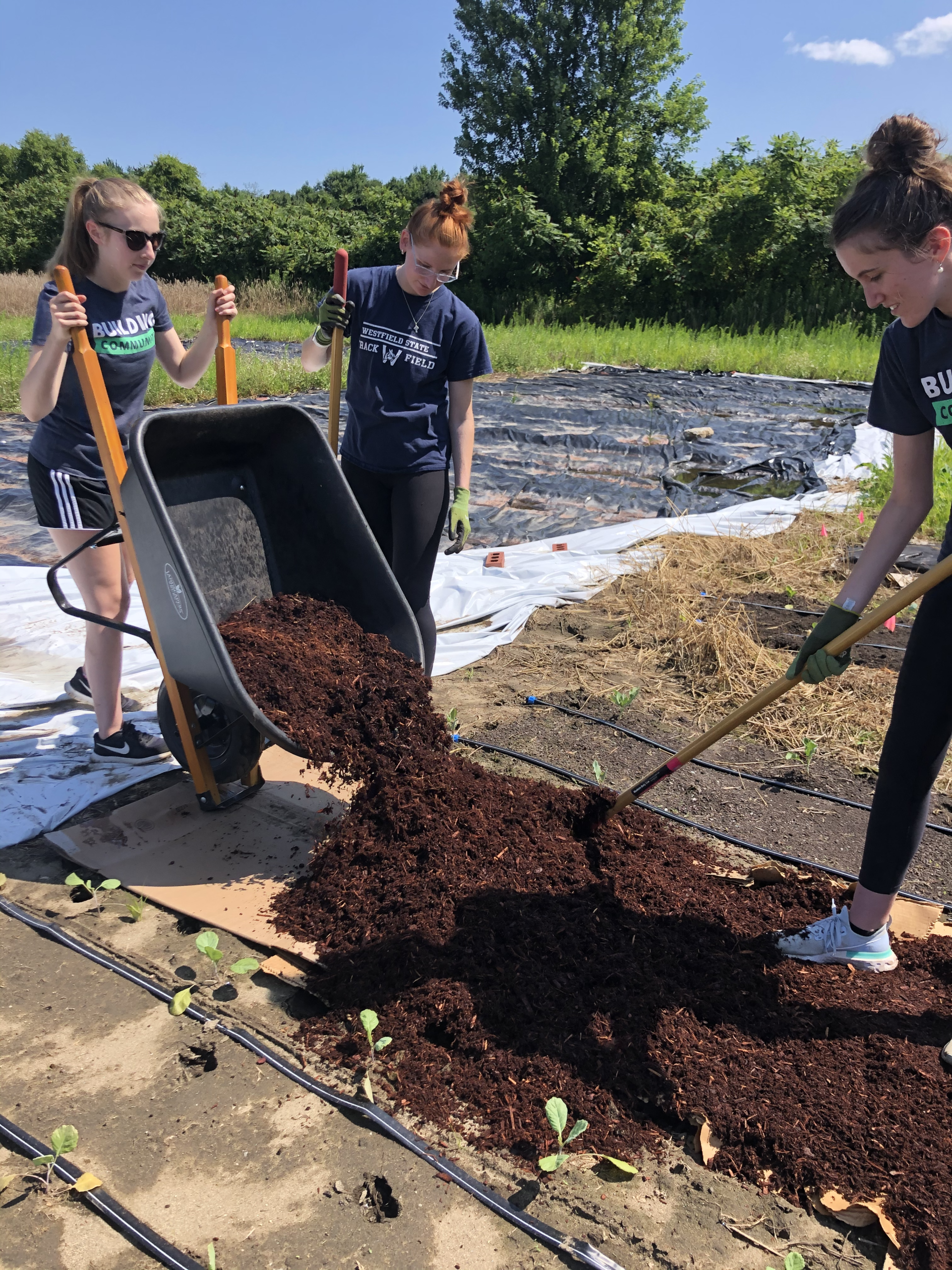 MBK Assists The Food Bank of Western Mass