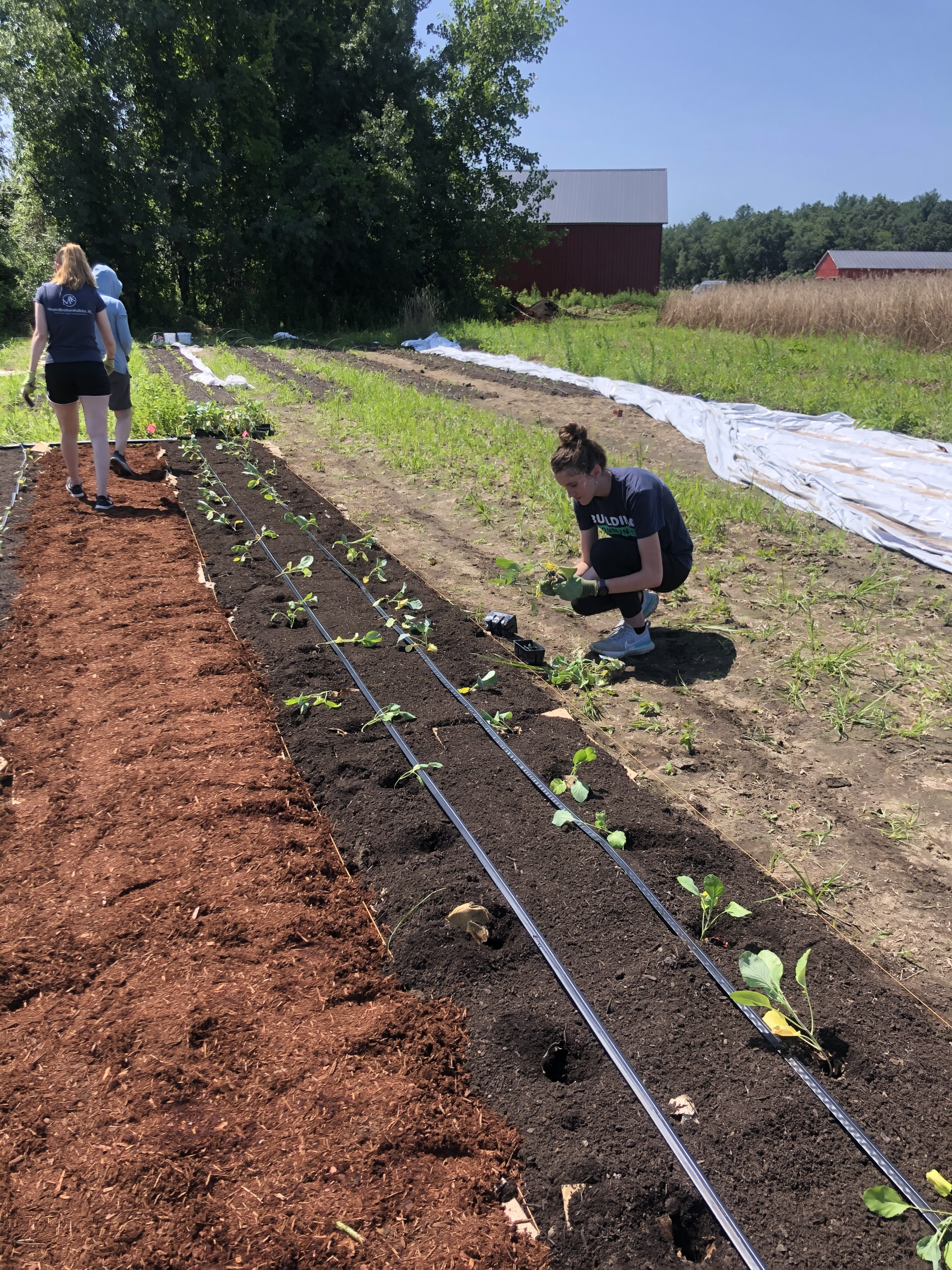 MBK Assists The Food Bank of Western Mass