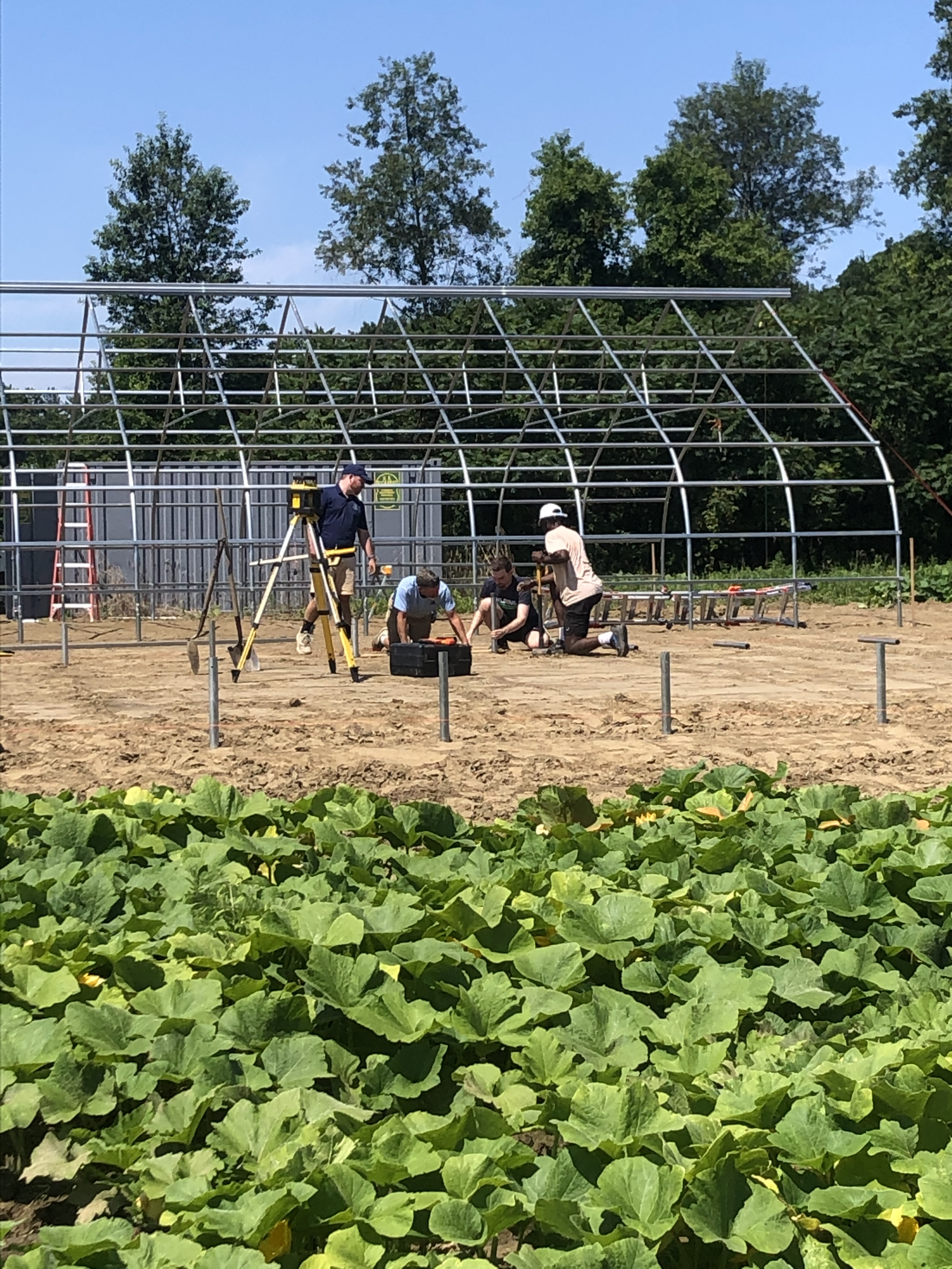 MBK Assists The Food Bank of Western Mass
