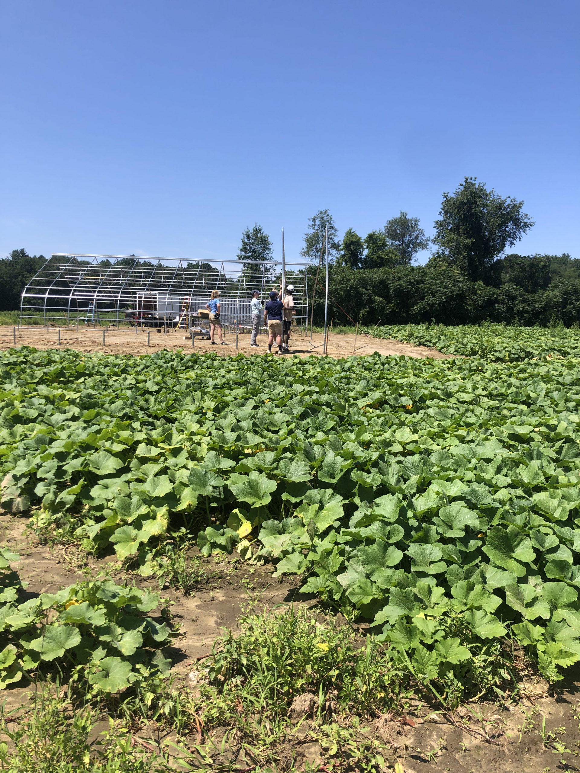 MBK Assists The Food Bank of Western Mass
