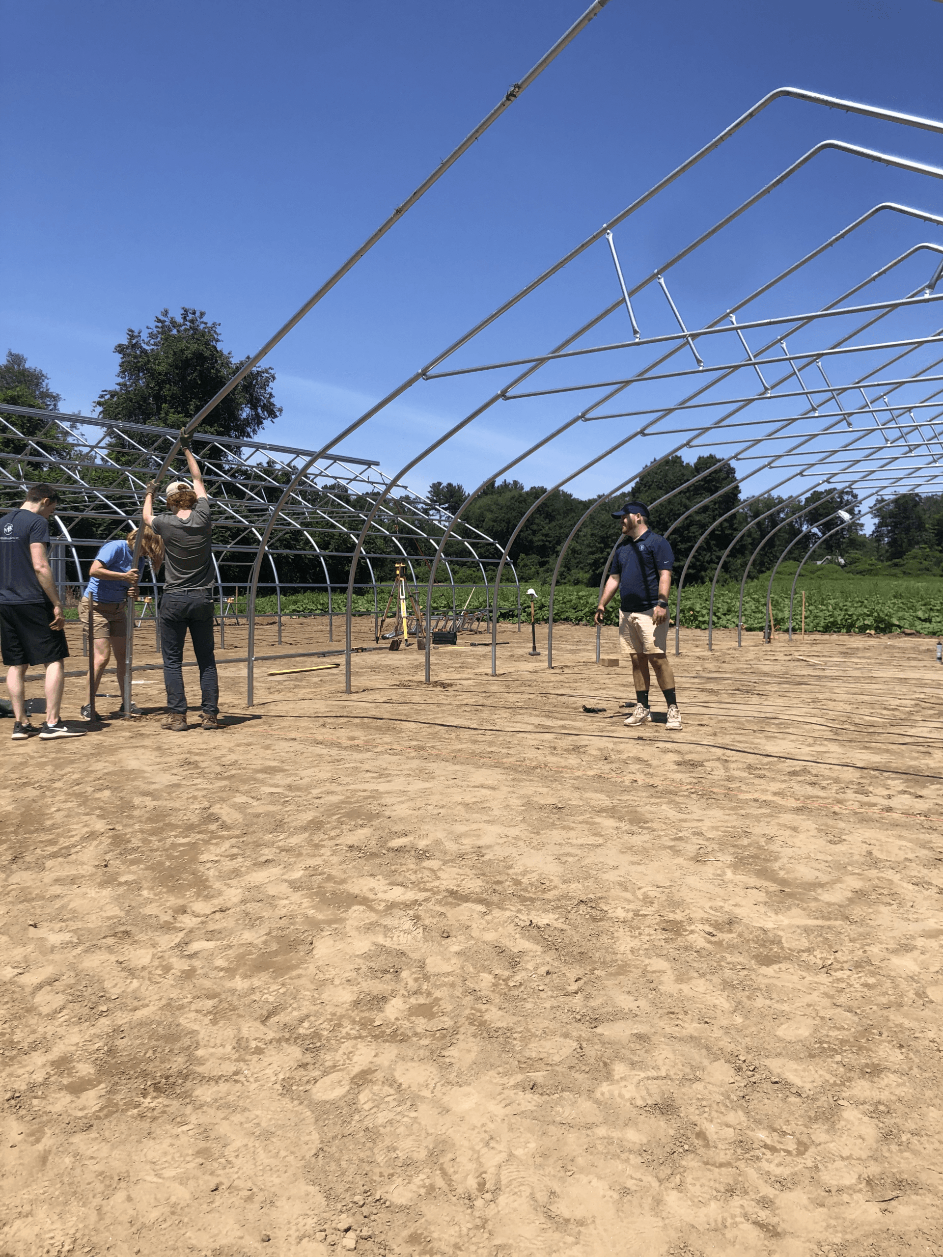 MBK Assists The Food Bank of Western Mass