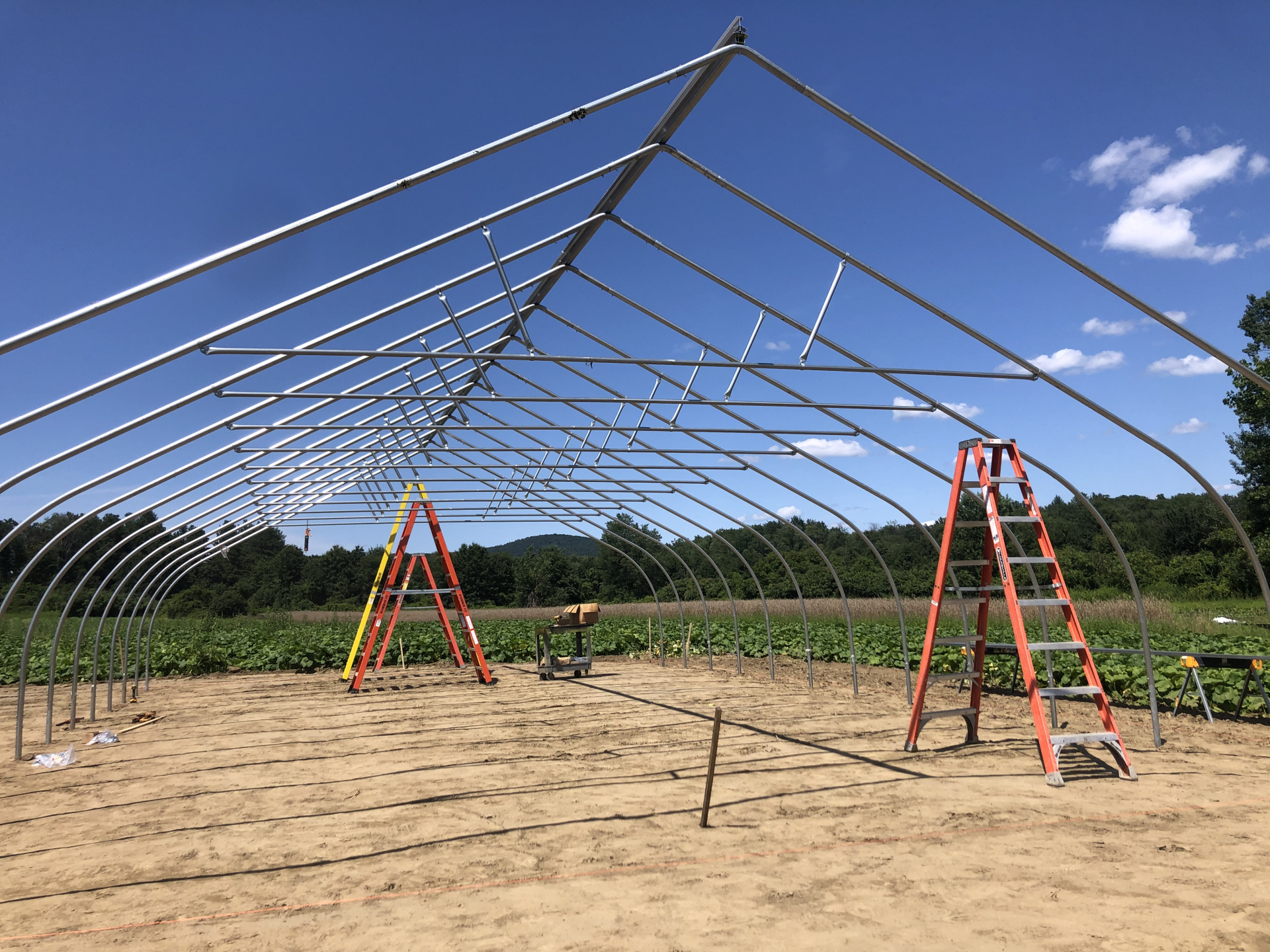 MBK Assists The Food Bank of Western Mass