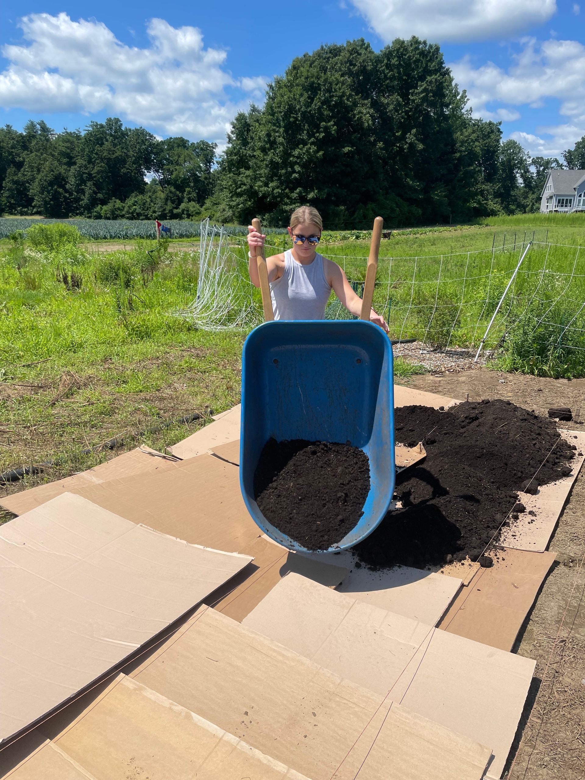 Nourishing the Community: MBK Works Together for Enrichment and Growth