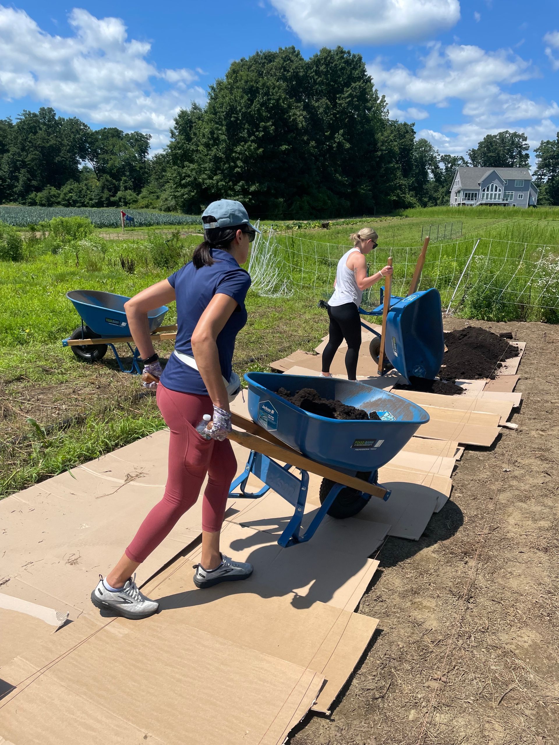 Nourishing the Community: MBK Works Together for Enrichment and Growth