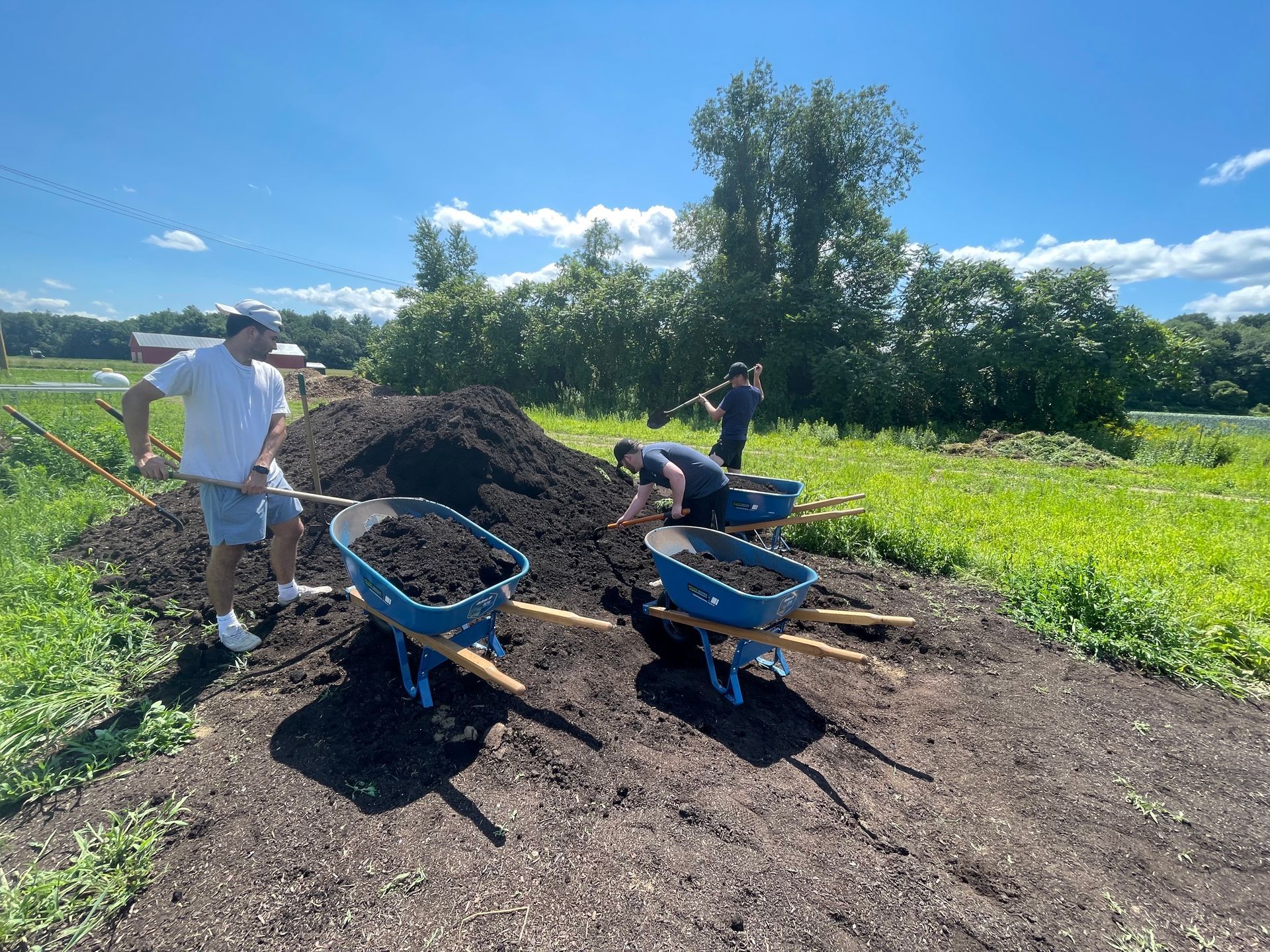 Nourishing the Community: MBK Works Together for Enrichment and Growth