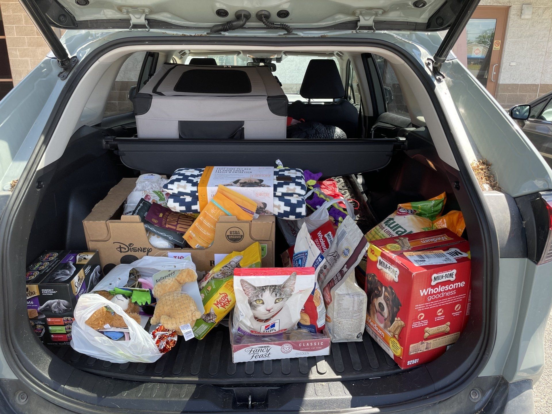 MBK supports Dakin and  TJ O Connor