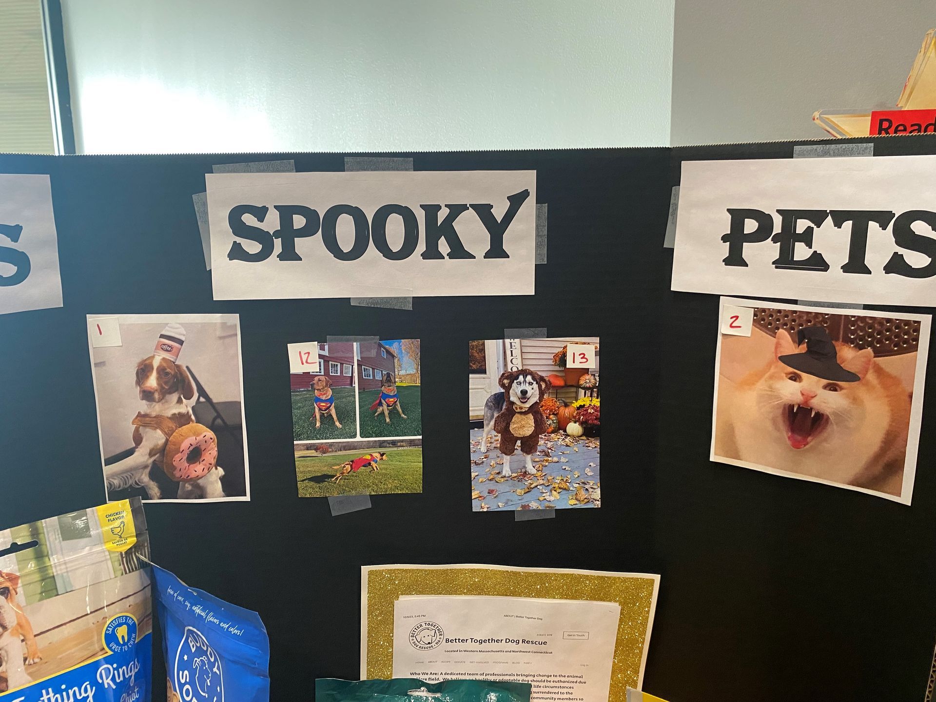 Paws for a cause with MBK