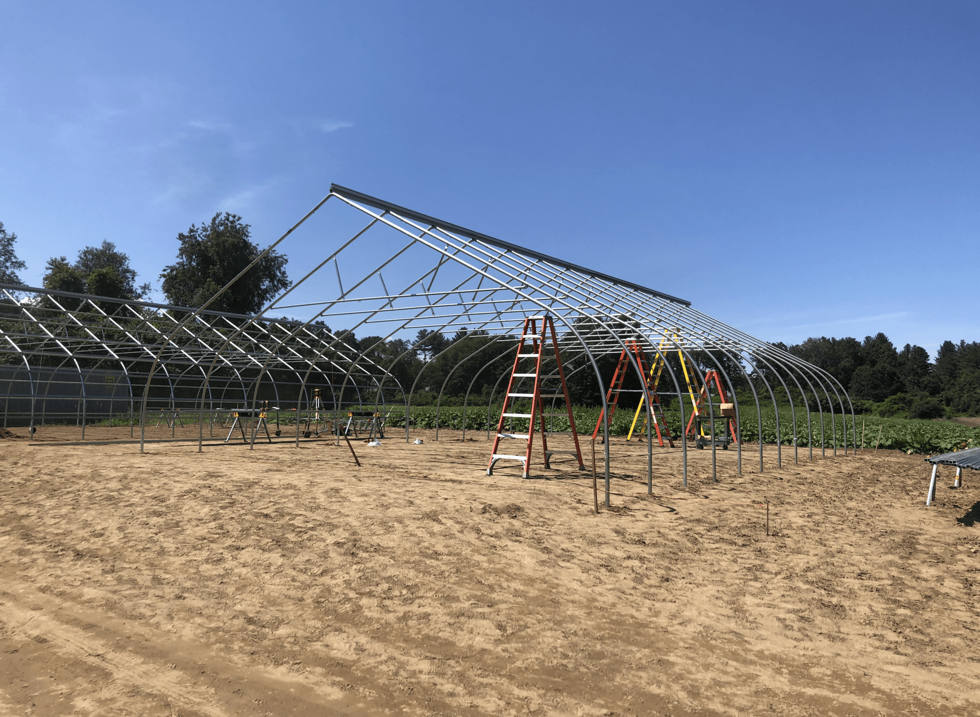 MBK Assists The Food Bank of Western Mass