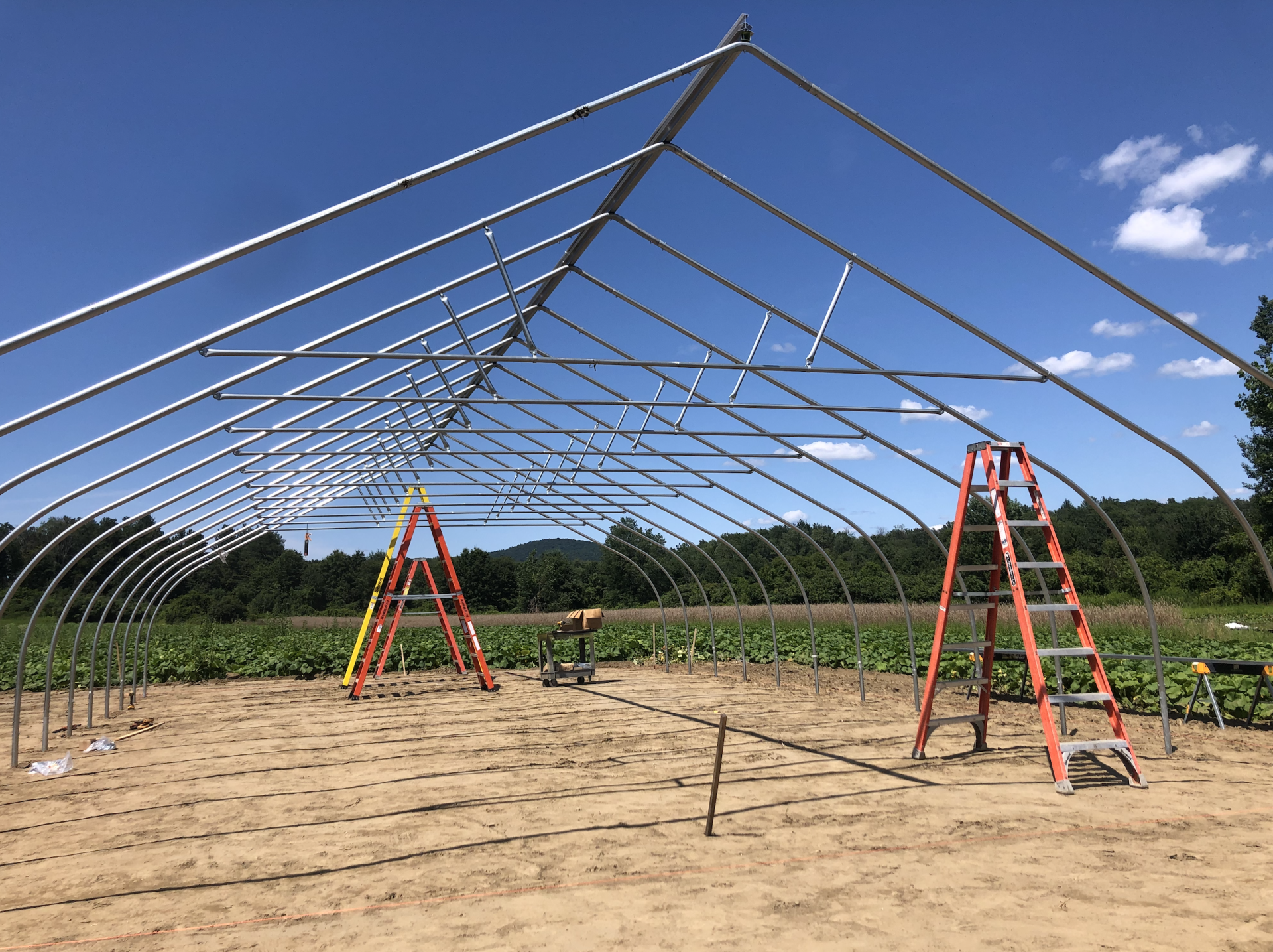 MBK Assists The Food Bank of Western Mass