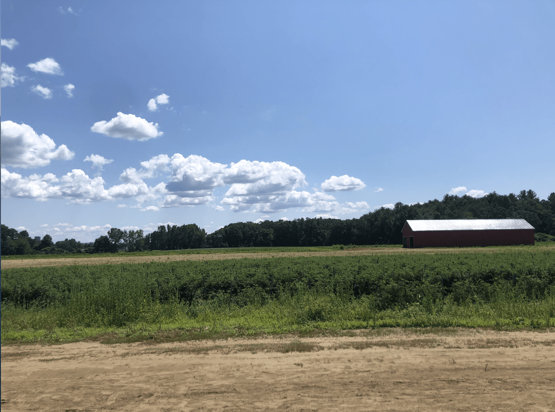 MBK Assists The Food Bank of Western Mass