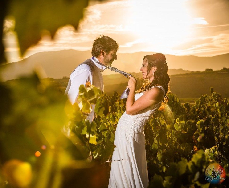 Una novia y un novio están de pie en un viñedo al atardecer.