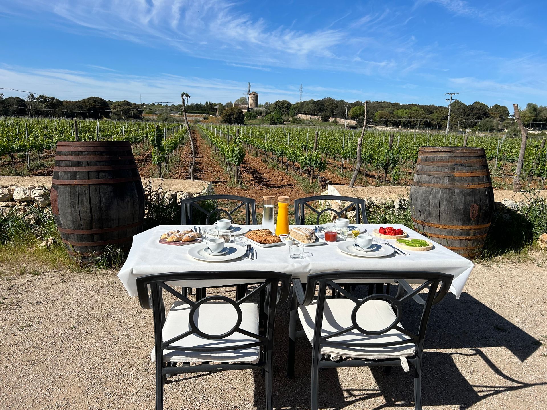 Merienda frente al viñedo.