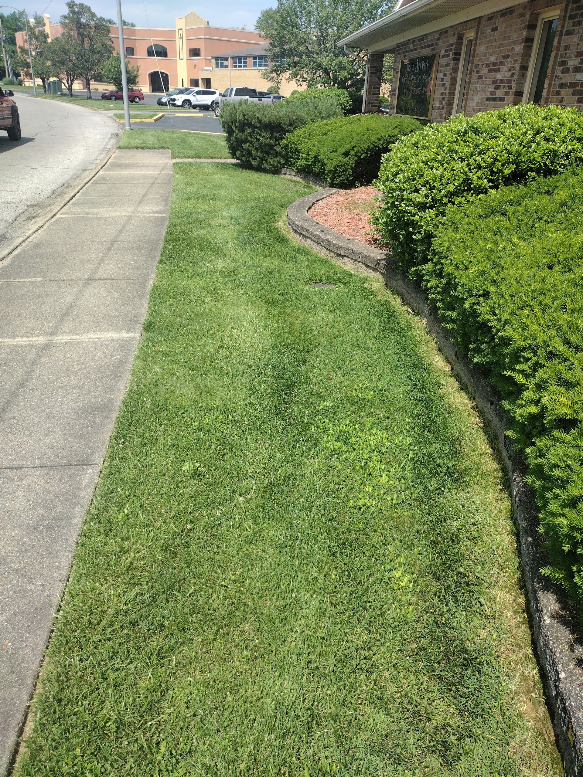 A sidewalk leading to a house with a lush green lawn and bushes.