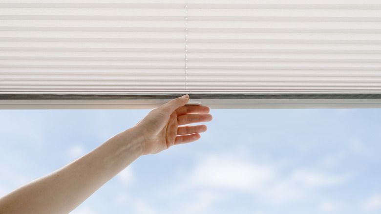 Are Temporary Window Coverings a Good Option? When and Why to Use Them