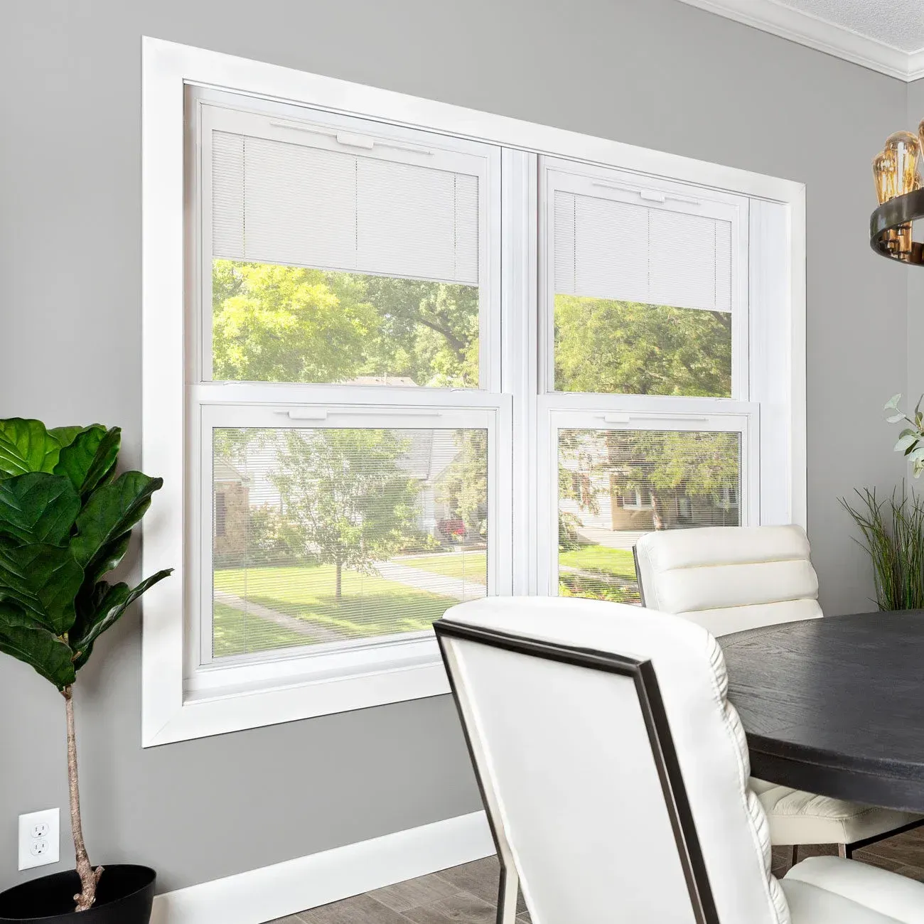 Blinds