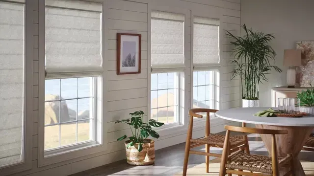 Challenges of South-Facing Windows