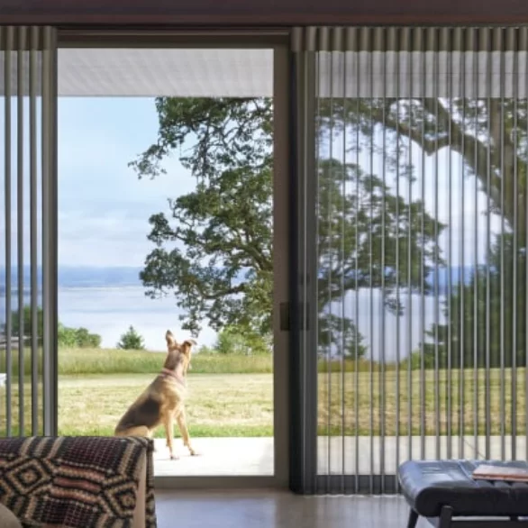a dog is looking out of a sliding glass door with hunter douglas veritcal shades Love is Blinds Missouri (314) 808-3440