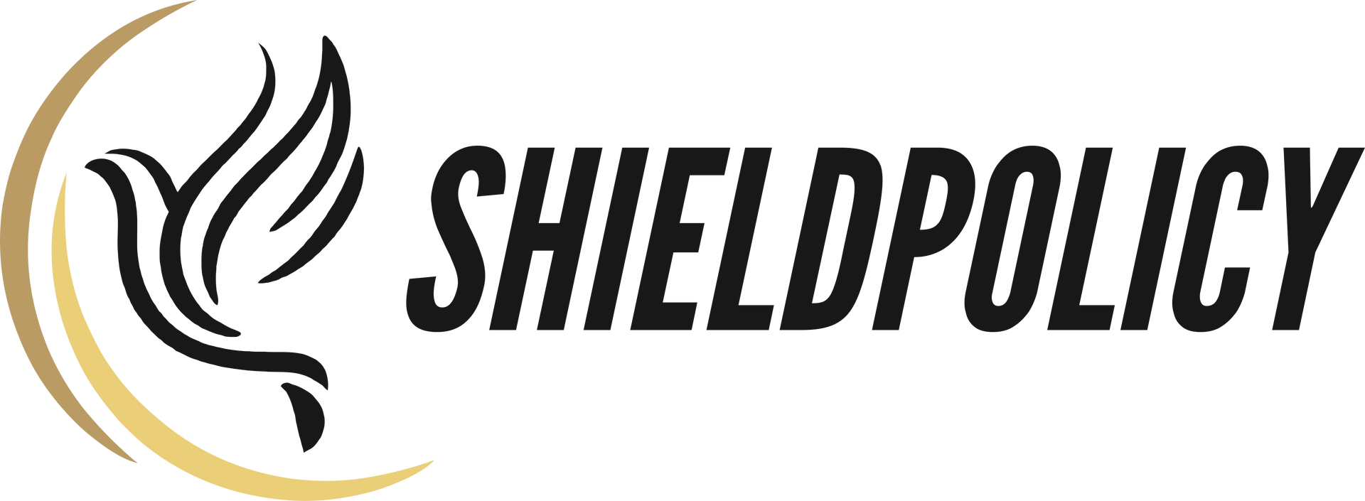 ShieldPolicy Logo with Everlasting Protection Tag Line