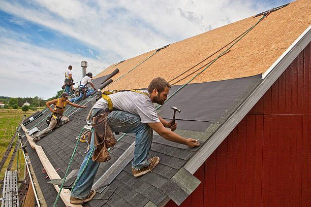 A team of men install waterproofing material and shingles to create a new roof on a rural building -