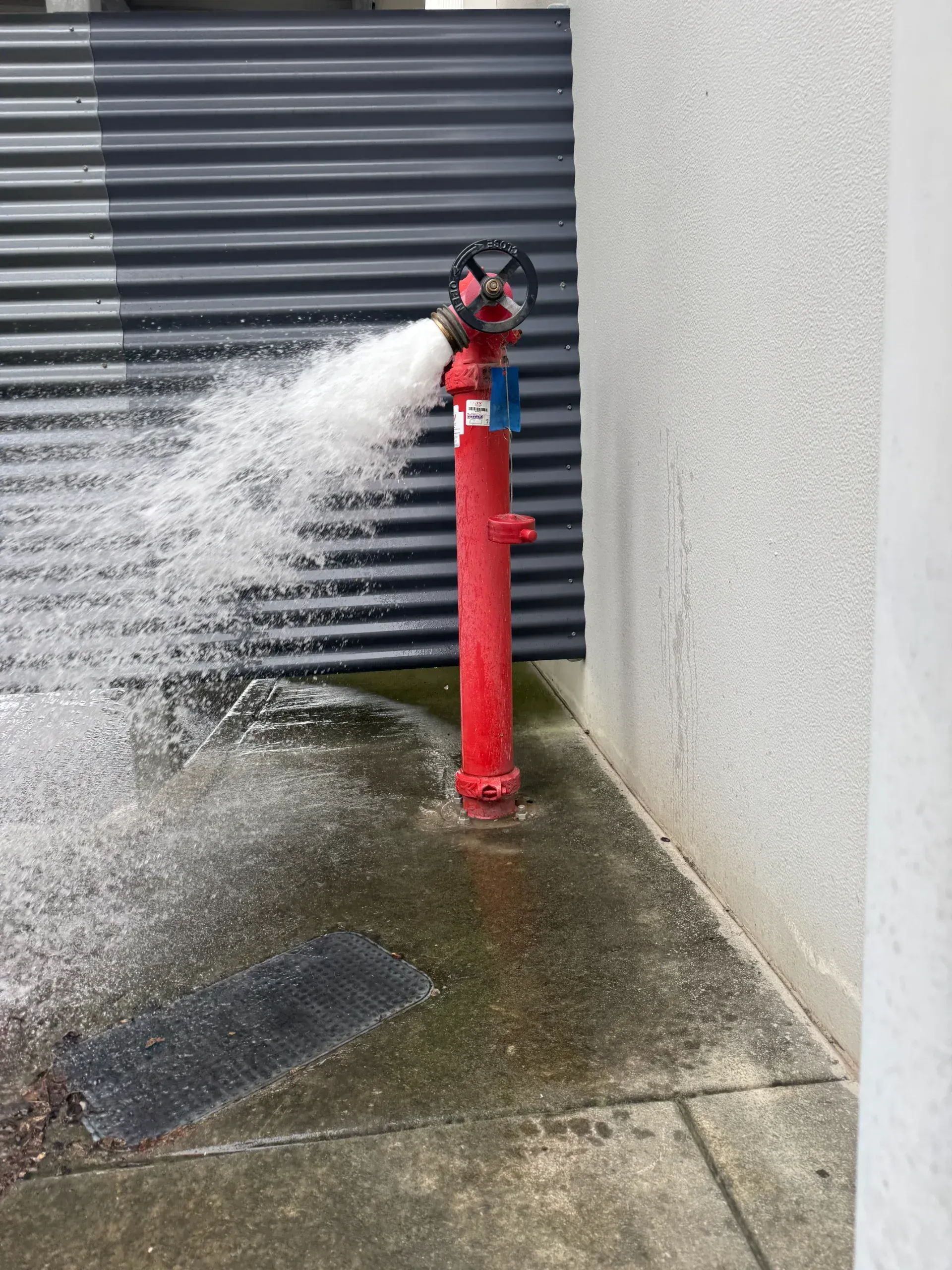 Red fire hydrant spraying water on a concrete surface next to a building. — Commercial Leak Detection in Darra, QLD