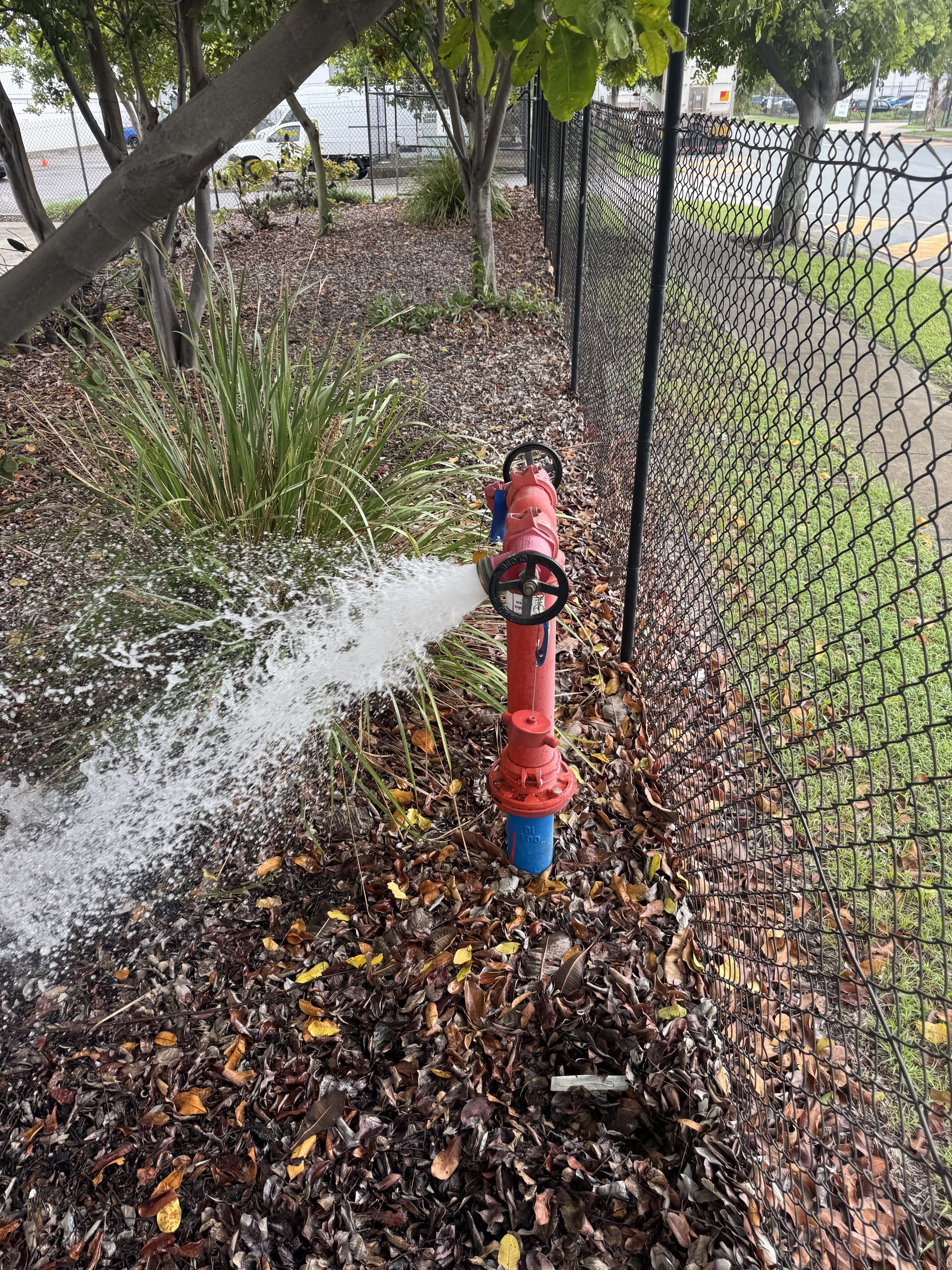 Red Fire Hydrant on a Sidewalk in Front of a Building — Commercial Leak Detection in Mudgeeraba, QLD