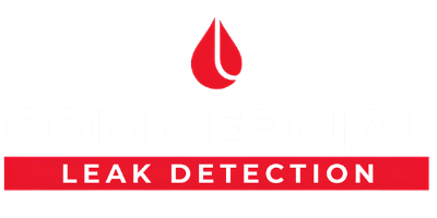 Leak Detection in Mudgeeraba