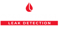 Leak Detection in Mudgeeraba